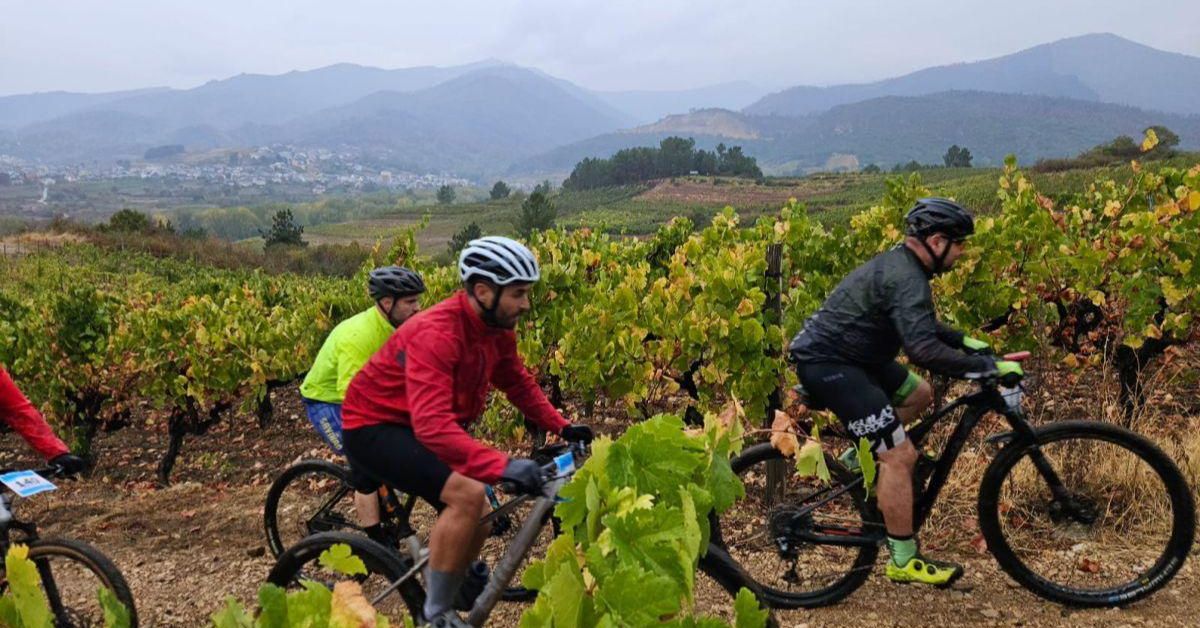 El interés por el enoturismo aumenta con la Ruta do Viño