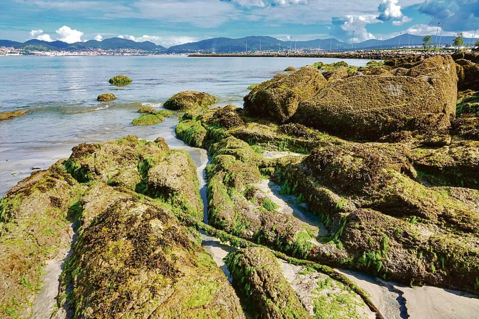 Lo que queda del cable al descubierto.