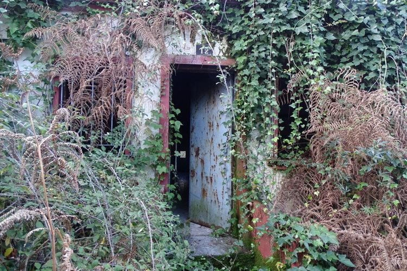 Entrada a la vivienda, llena de maleza y con la puerta abierta para el paso de personas.