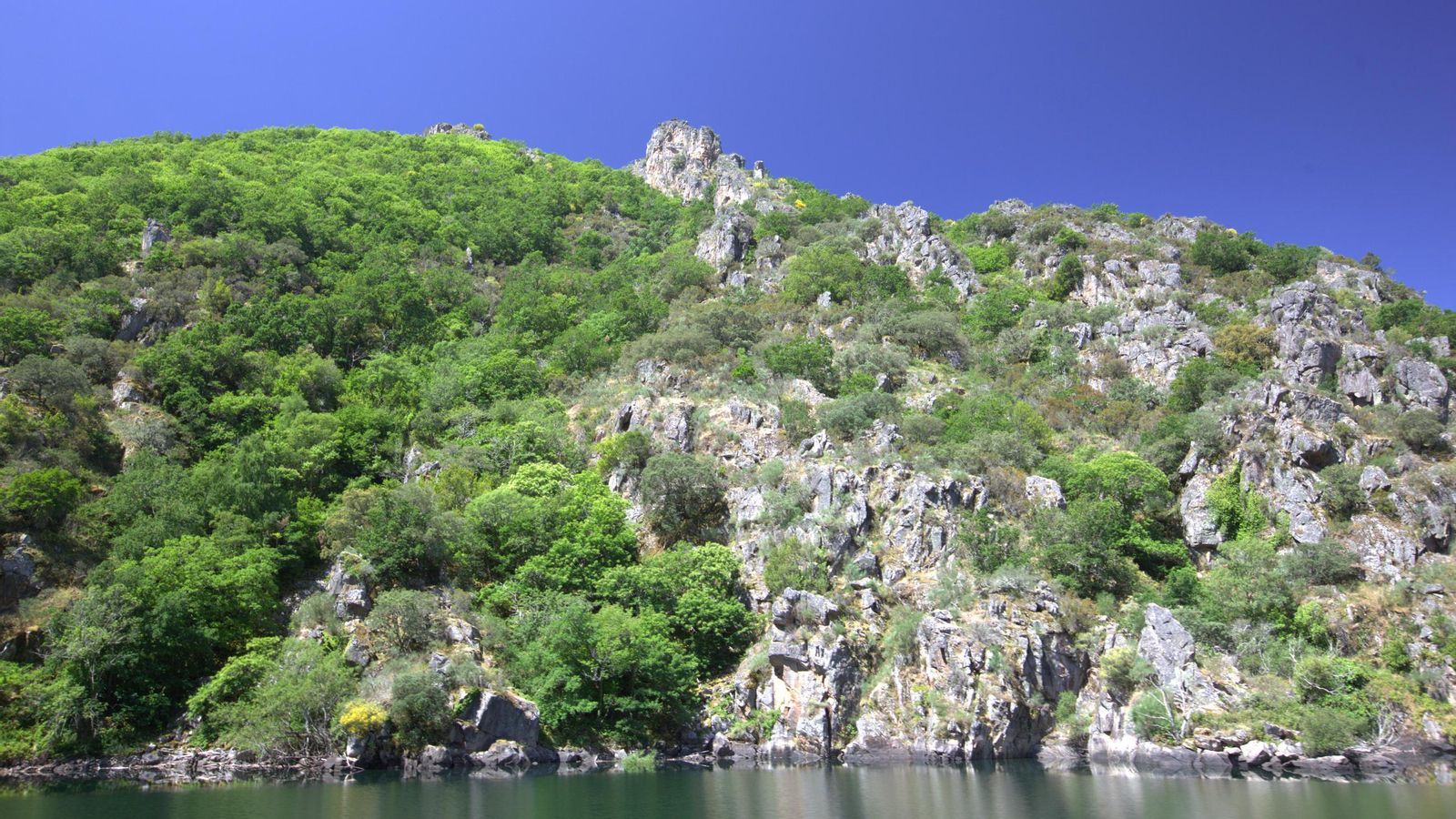 Farallón granítico.