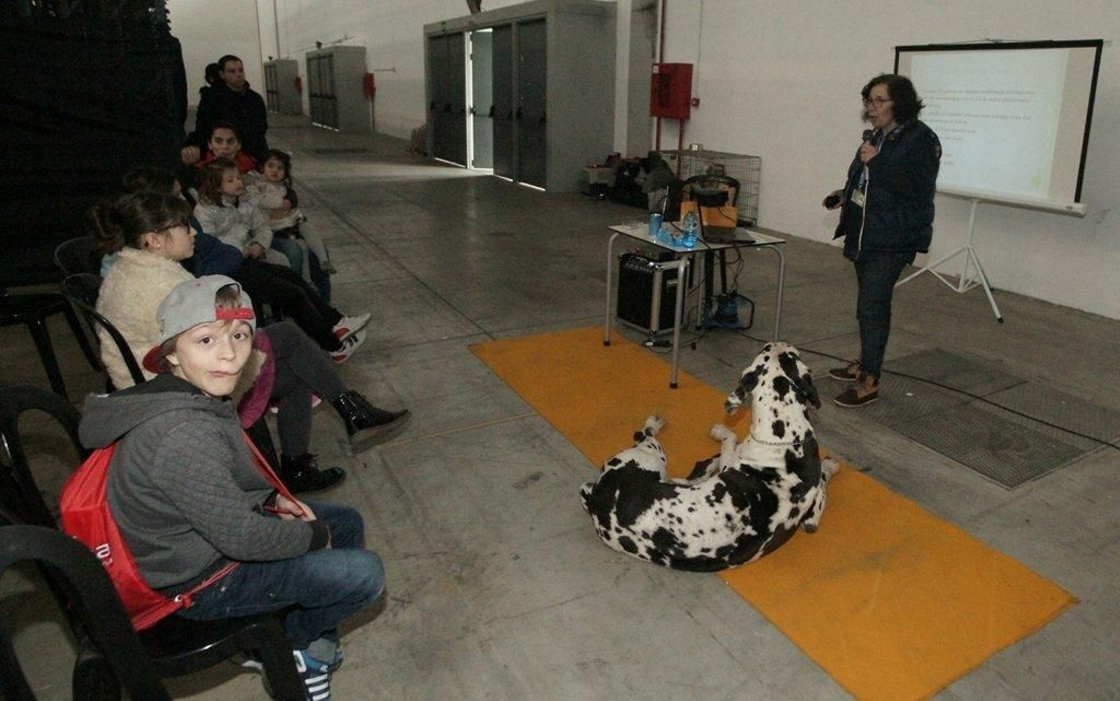Exposición Canina en el Ifevi Foto Vicente06