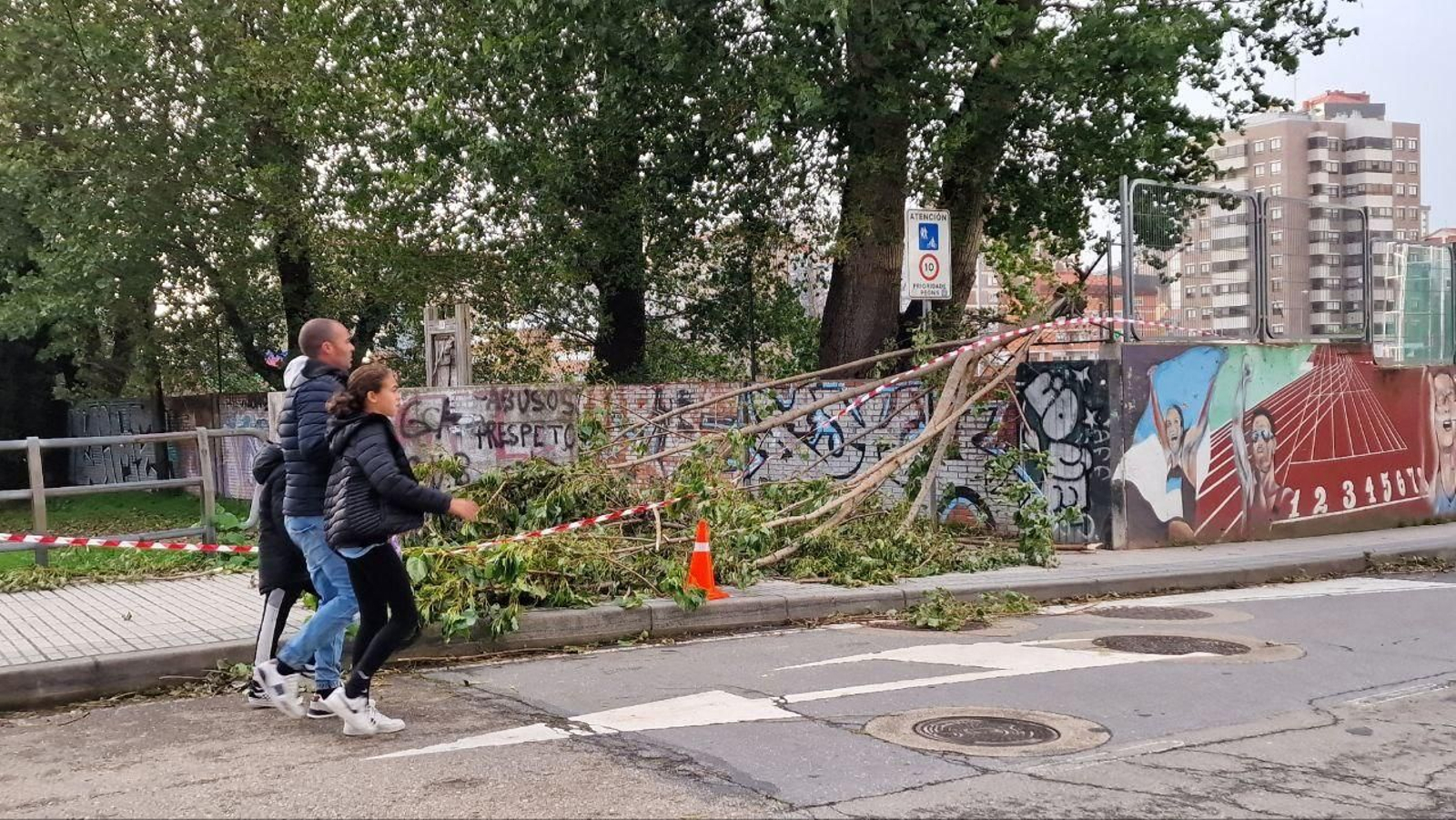 Caída de árboles en el paseo del Lagares.
