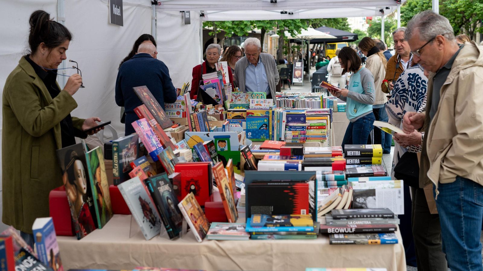 Lectores explorando sus temáticas preferidas en mesas del gremio del libreros en la calle Paseo.