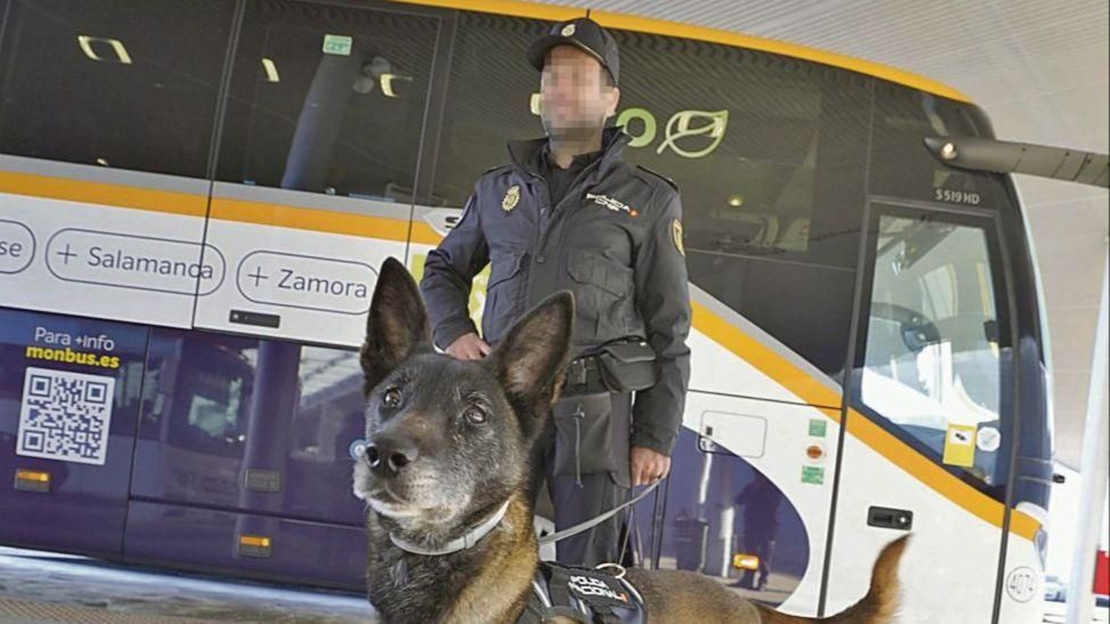 Un pastor belga malinois, nuevo ‘policía’ en las estaciones de Vigo y de la comunidad autónoma.
