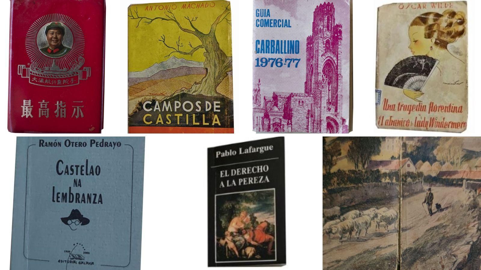 En esta colección hay hoy más de 500 libros pequeños editados en el siglo XX