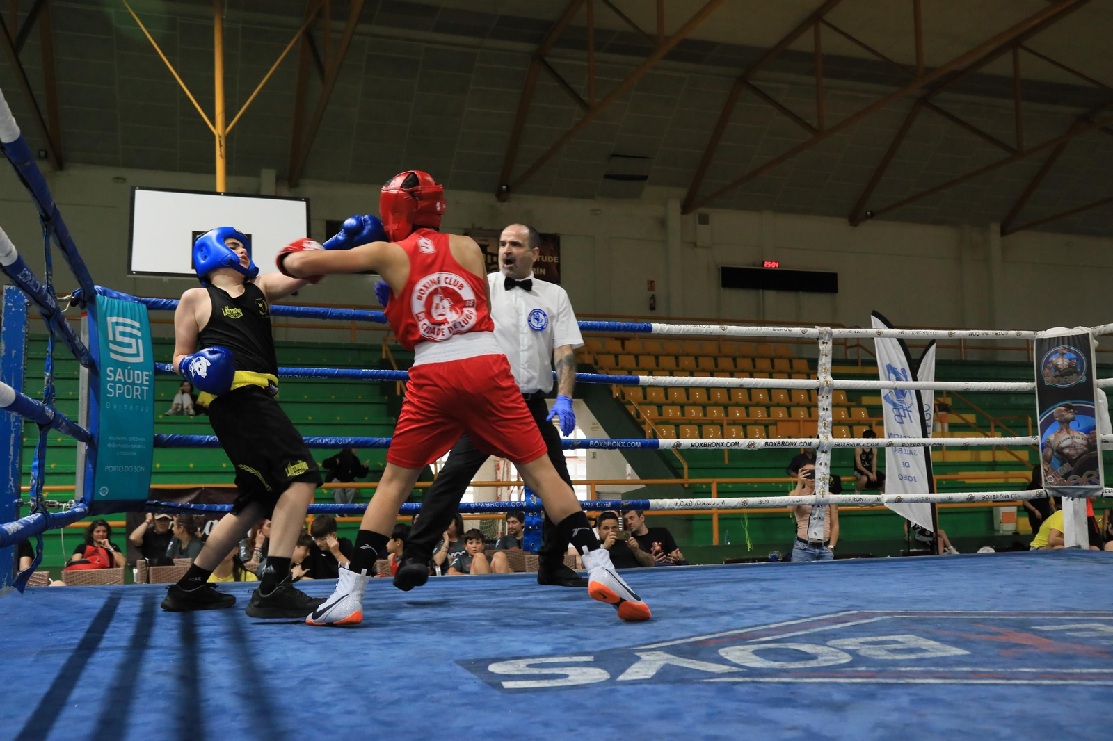 Galería | Verín disfruta de su primer Open de Boxeo