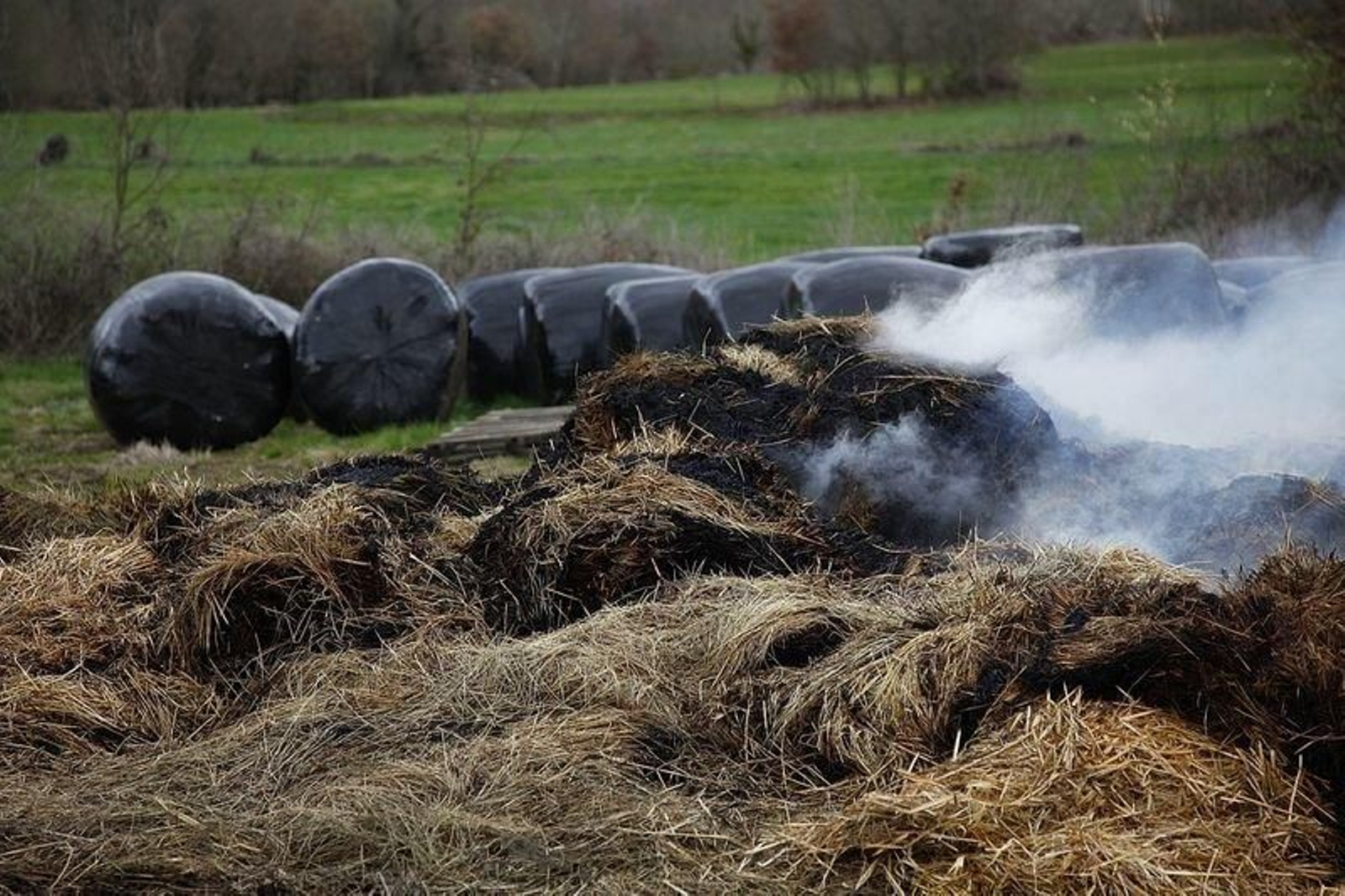 Imagen de la zona afectada por el incendio.