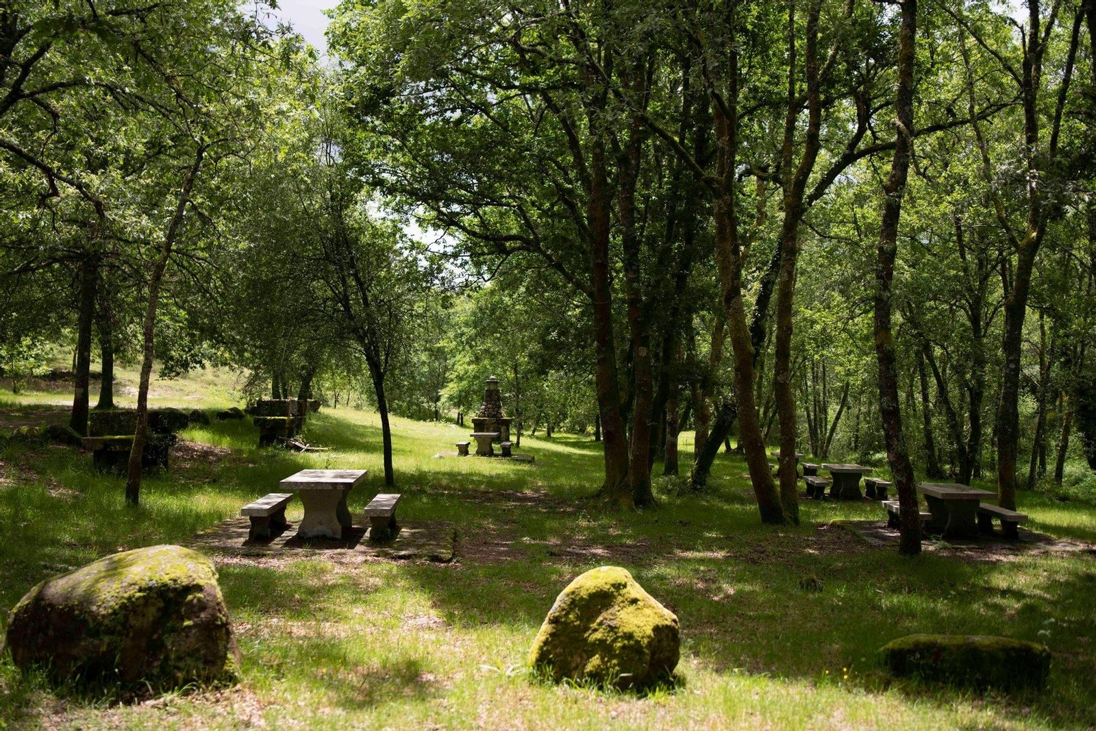 El área fluvial de Pacín es una zona verde donde podrás parar en el merendero a disfrutar del día