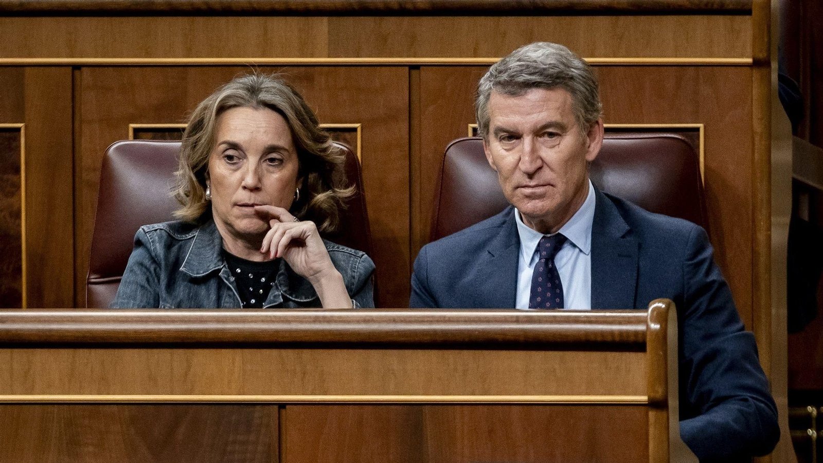 Cuca Gamarra y Alberto Núñez Feijóo, durante un pleno en el Congreso.