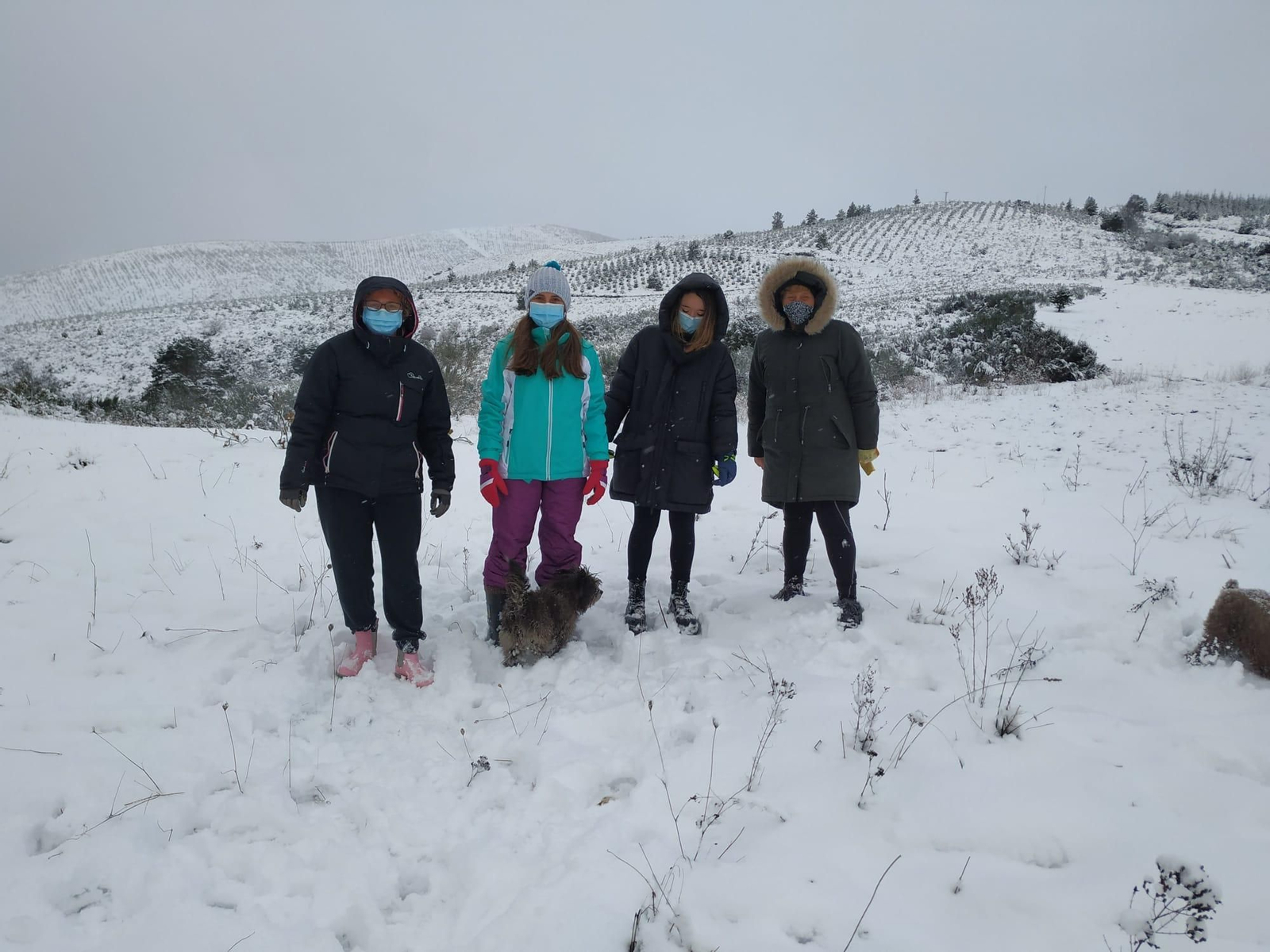 Jornada de nieve en el Alto da Portela.