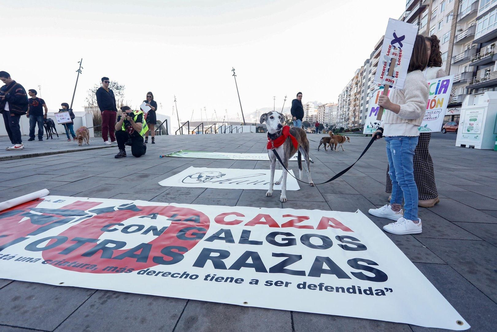 Manifestación en Vigo por los derechos de los animales.