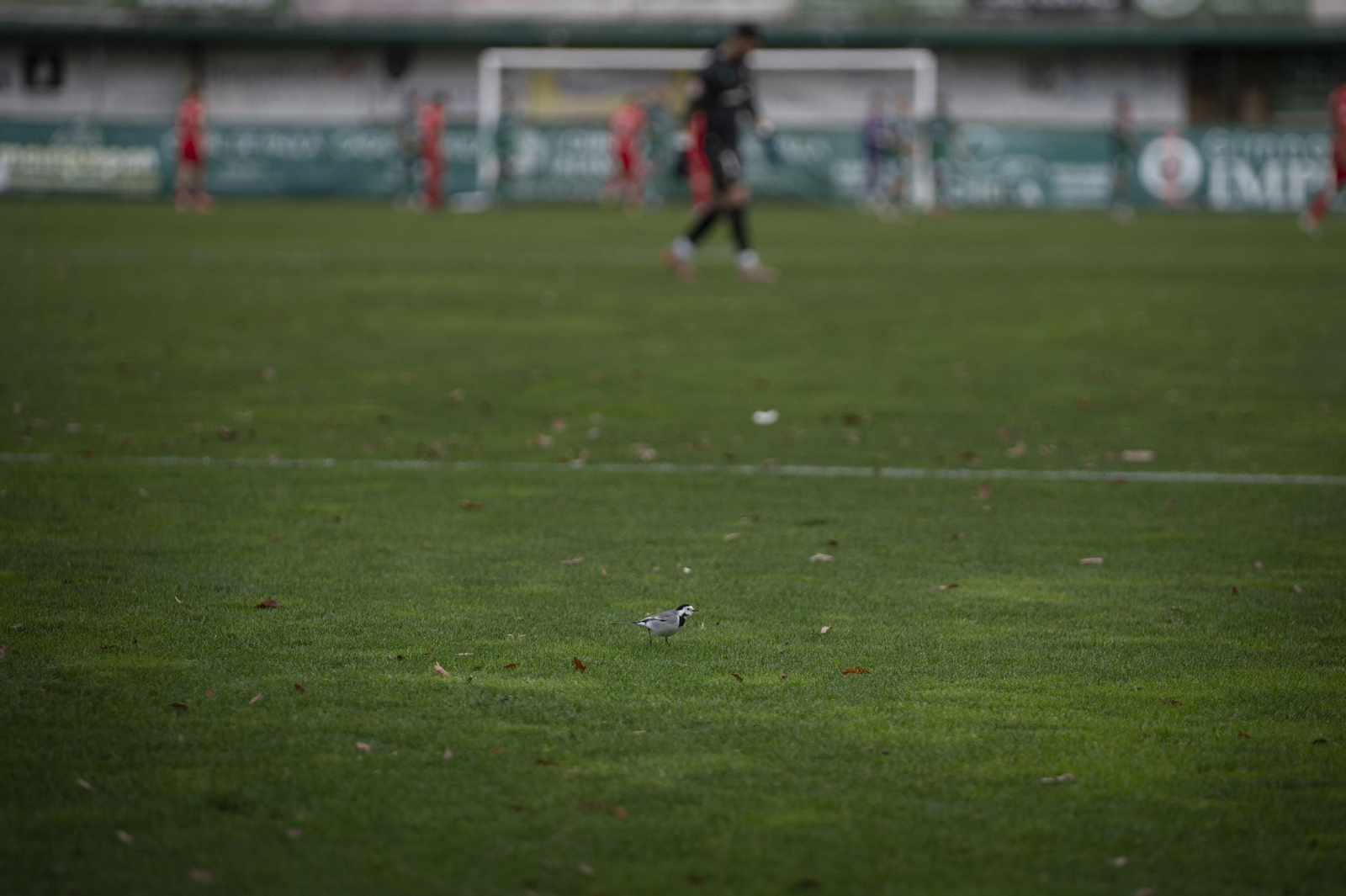 Galería | Espiñedo tiene su regalo adelantado de Navidad con la victoria del CD Arenteiro