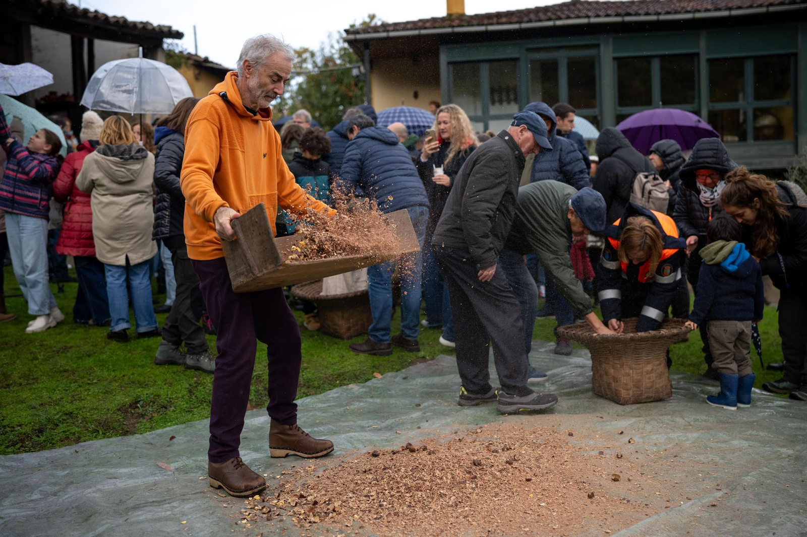 Galería | Festa da Pisa da Castaña