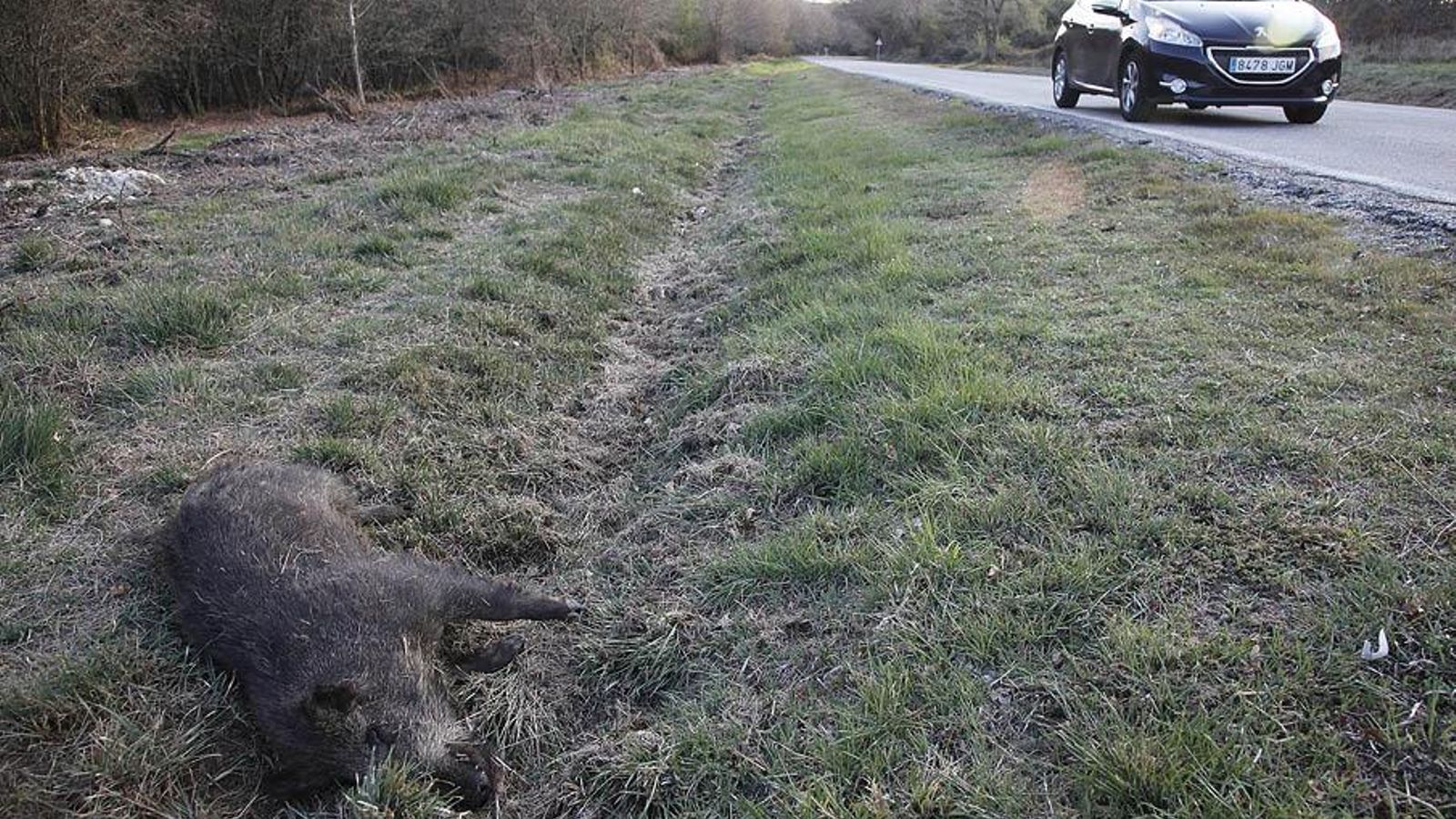 10.68.50.13archive20190324ma20190324634.jpg_web