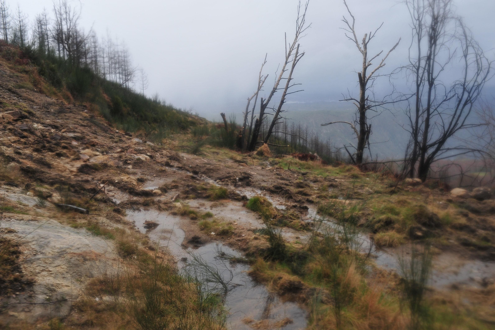 PARADA DE SIL, CABEZA DE MONTE MEDA 29/01/2020.- Degradación paisajística y medioambiental tras los incendios del 2017, Ribeira Sacra. José Paz
