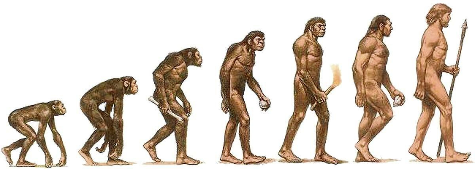 20191214194250170_resultado