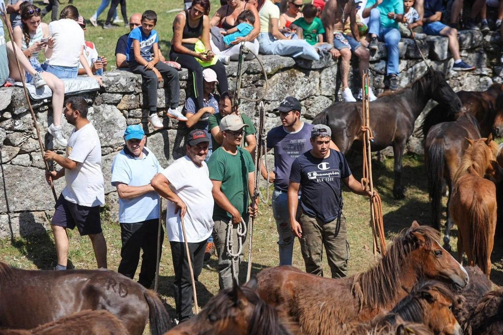 Galería | El curro de Mougás cierra la temporada de la “rapa” en la Serra da Groba
