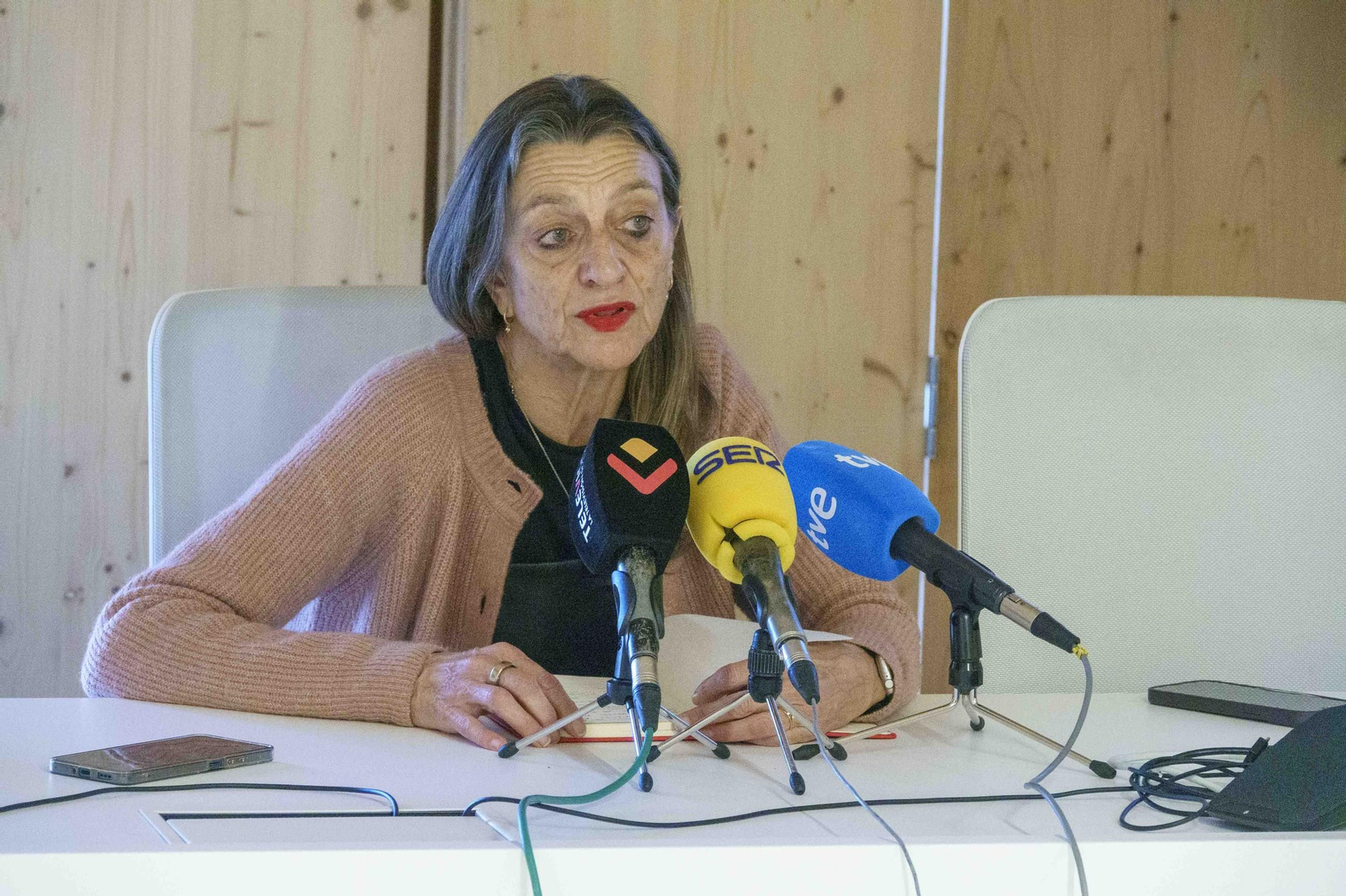 La vicerrectora Susana Reboreda, durante la presentación de ayer.