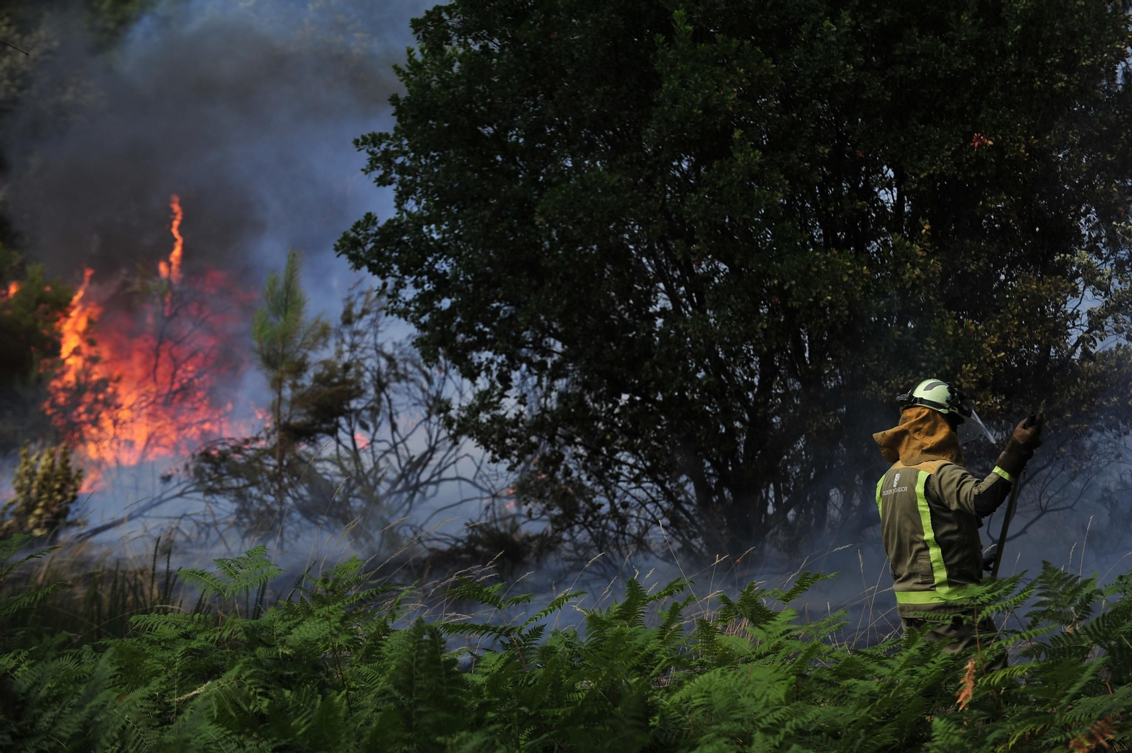 Galería | Despliegue de medios para extinguir un incendio en Rante