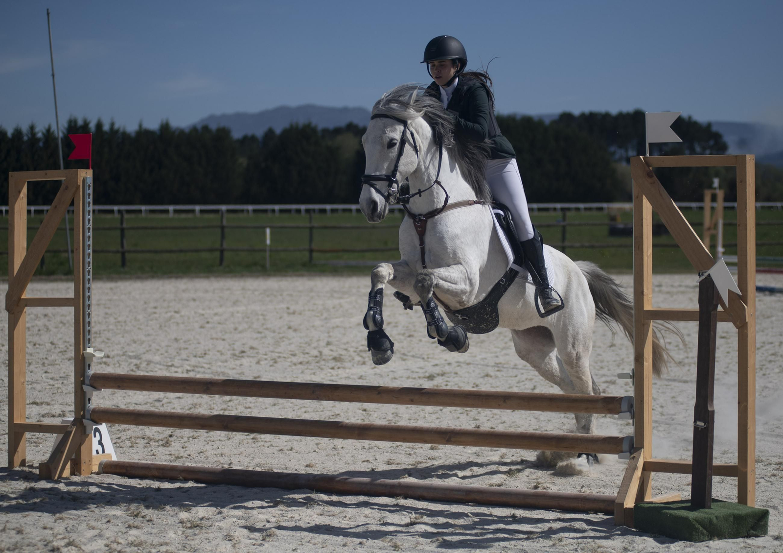Galería | Sandiás disfruta con el Campeonato Provincial de Concurso completo de hípica