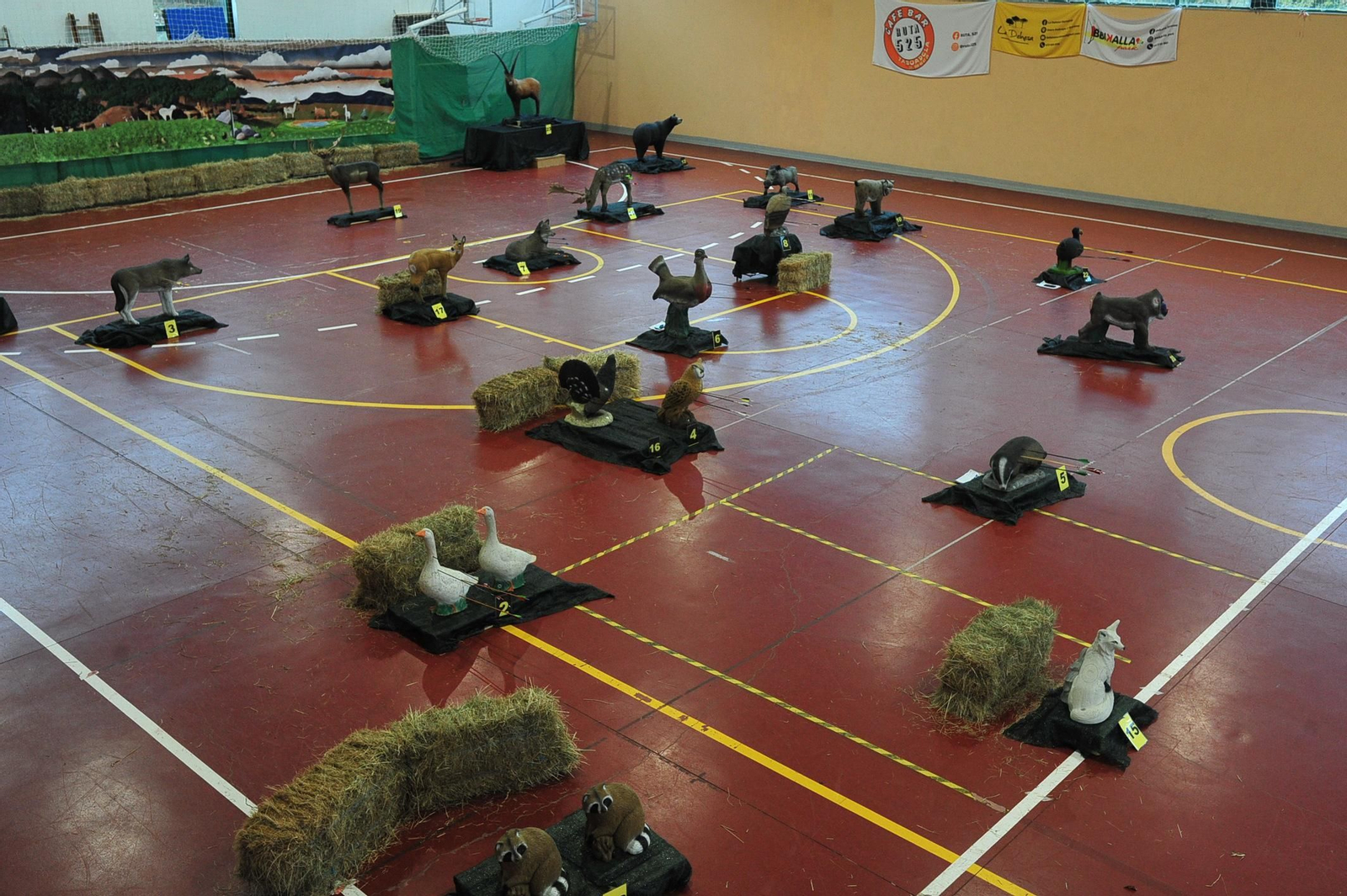 Galería | Taboadela, vive una jornada muy intensa de tiro con arco