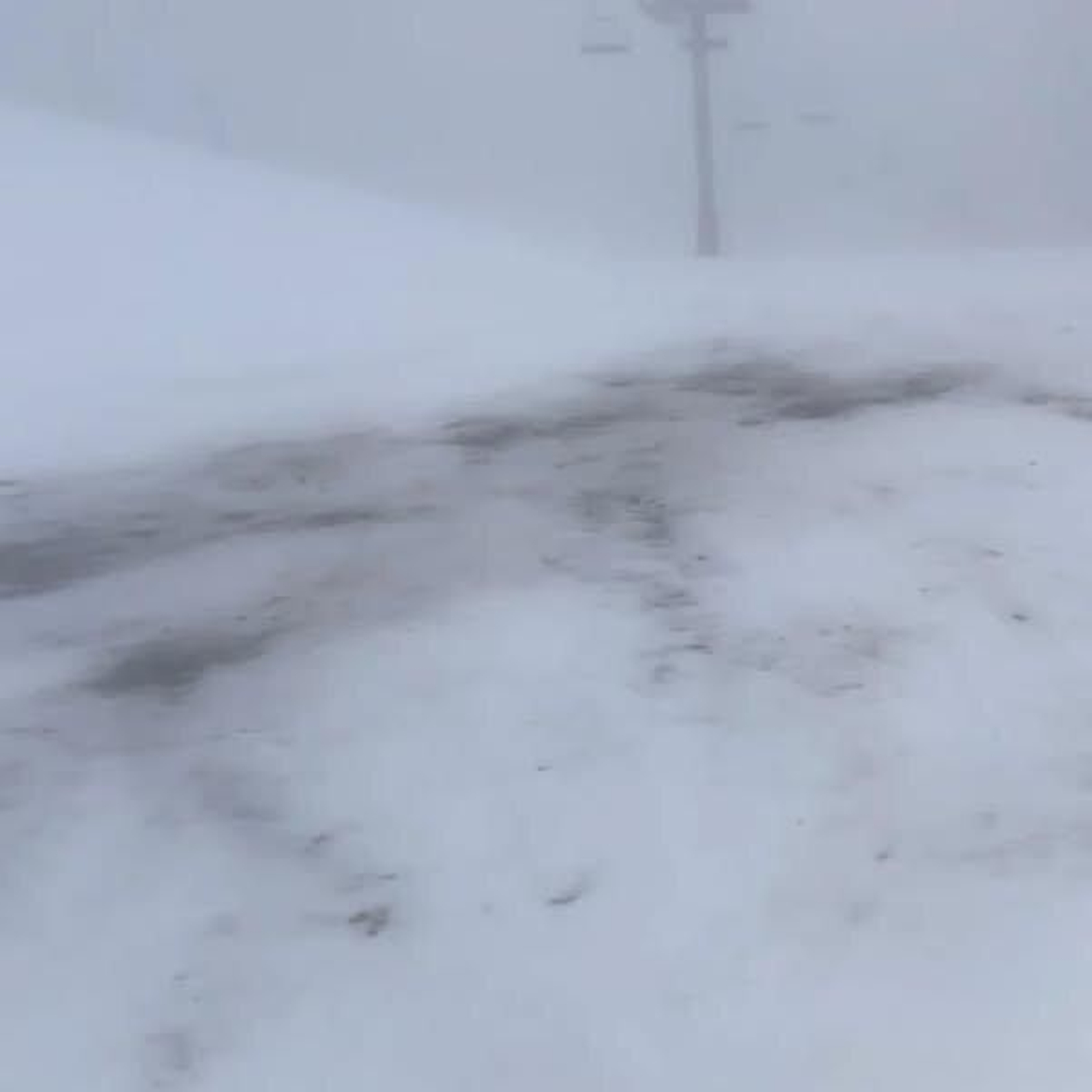 La calidad de la nieve.