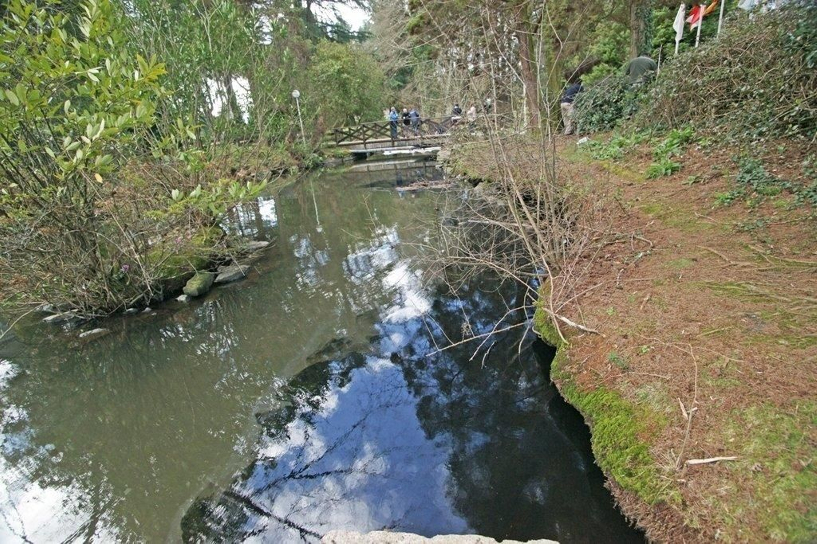 Vertido en el río Lagares Foto Vicente  11