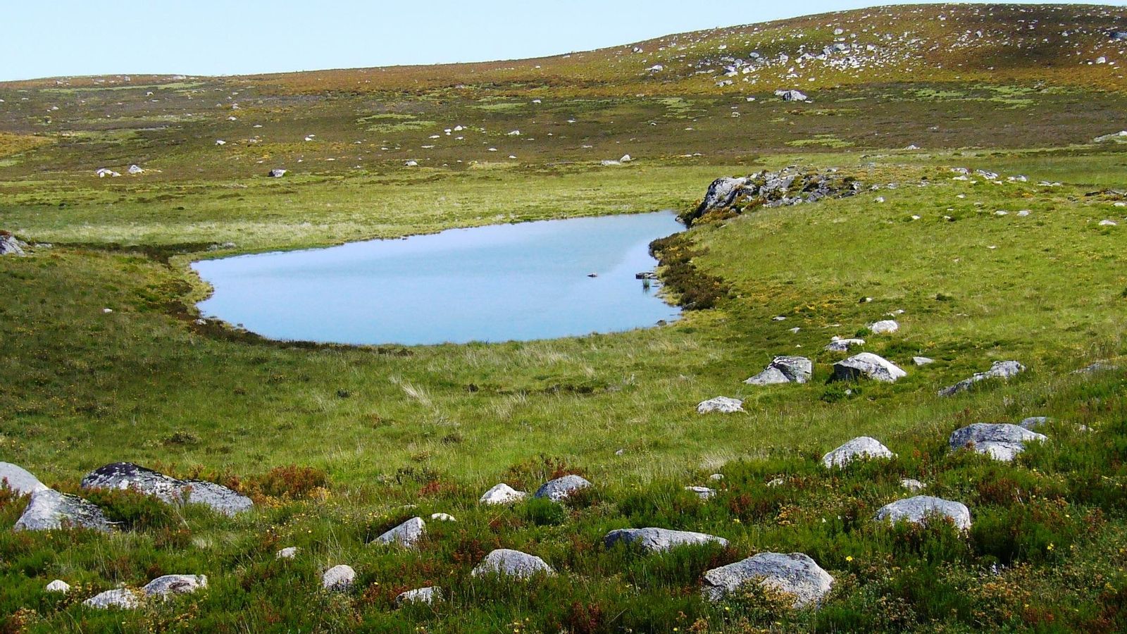 Lagoa de orixe glacial.