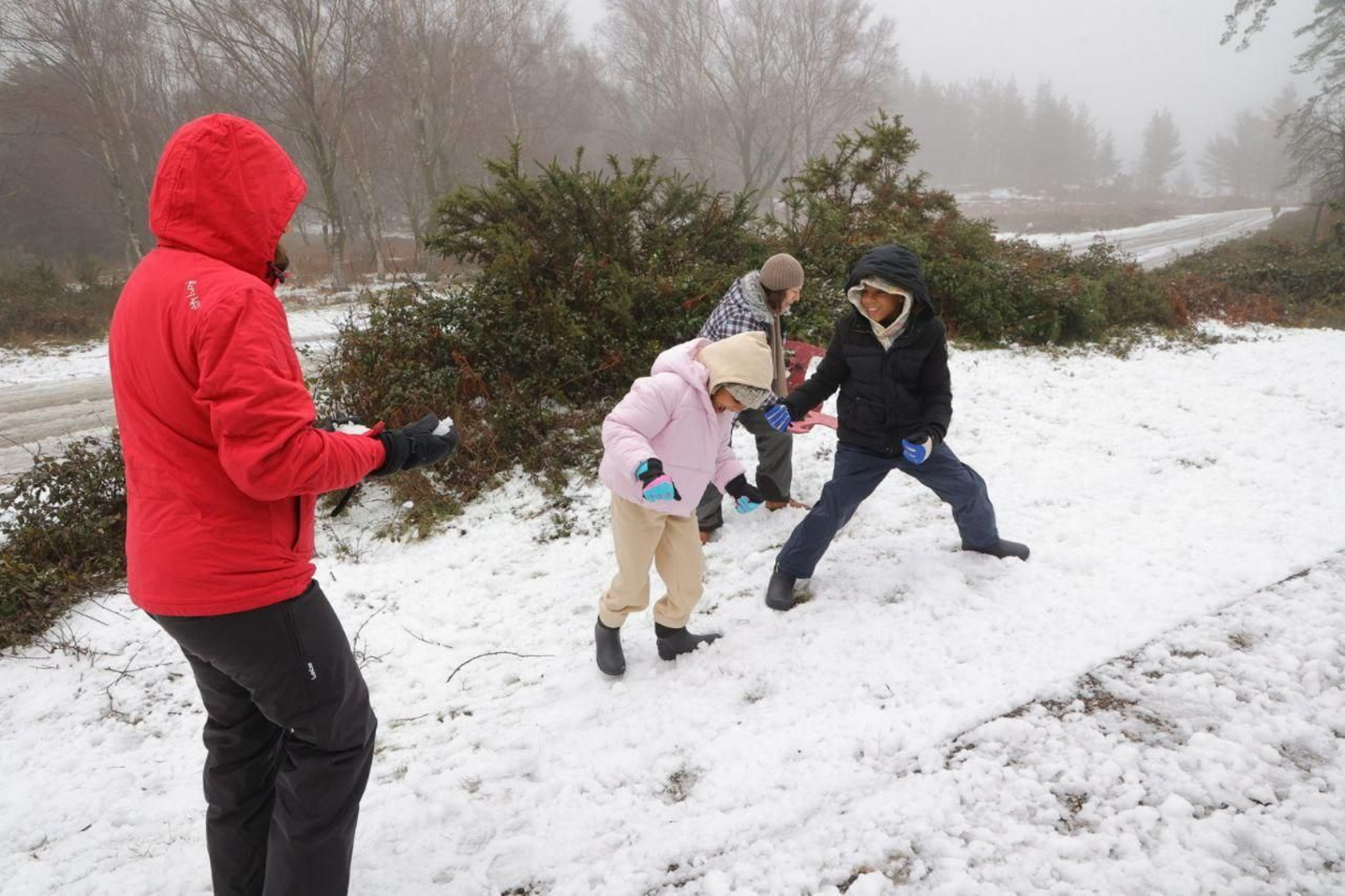 Galería | Los estragos de la borrasca Ingrid en Vigo y su área