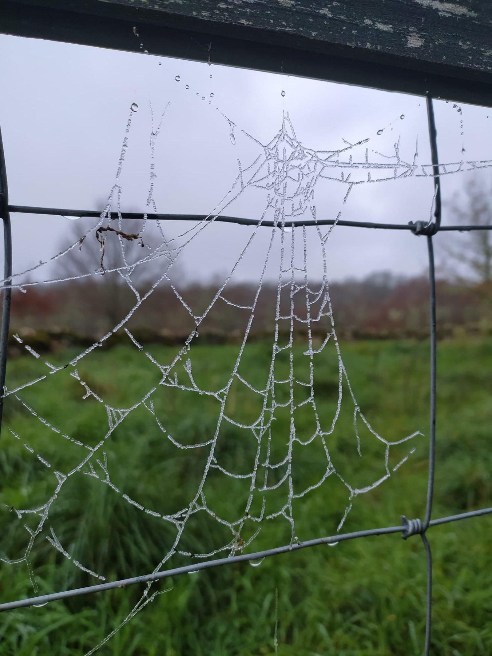 Jornada de frío en la provincia