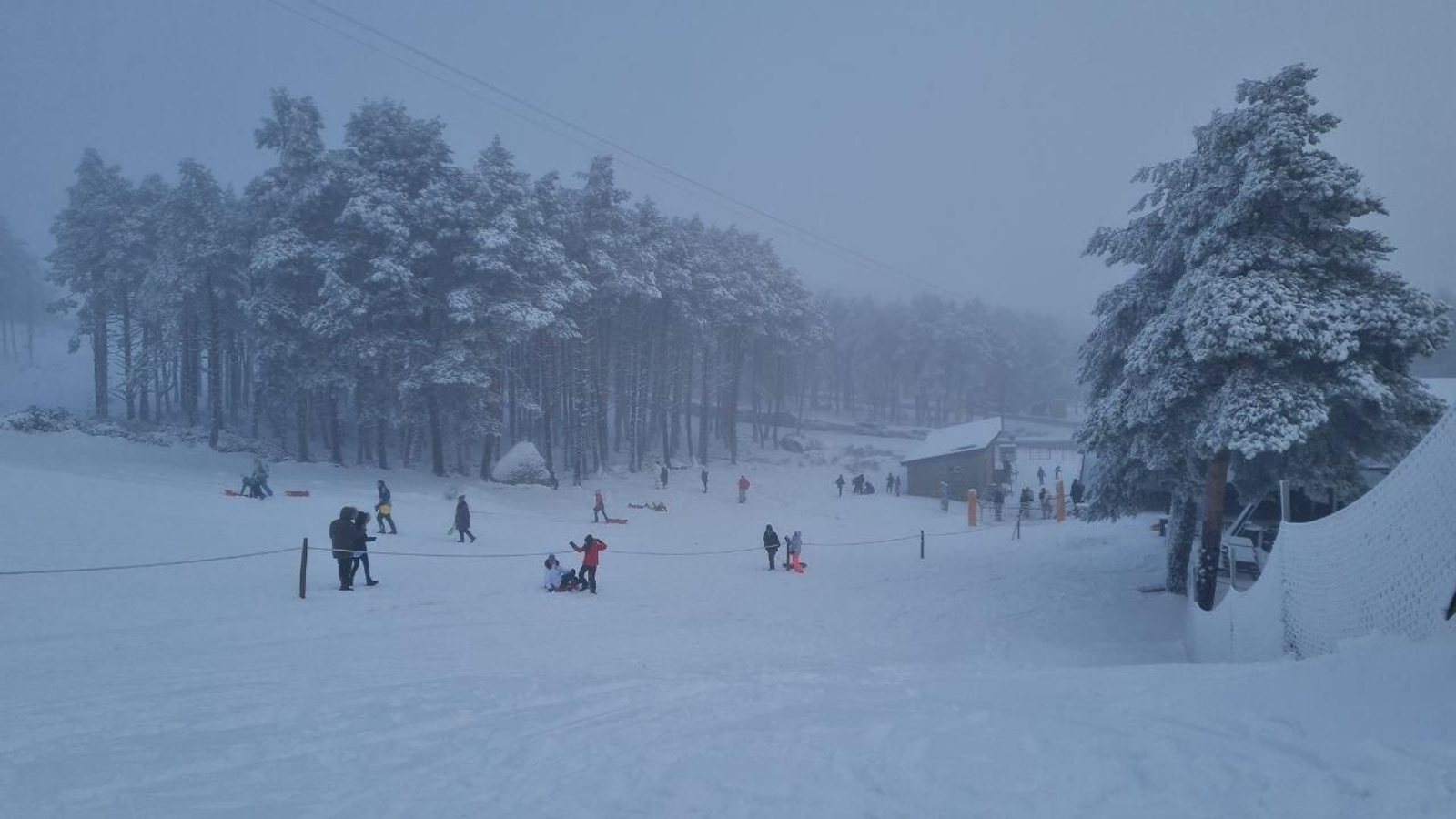 Los trineos han causado furor en Manzaneda esta mañana.