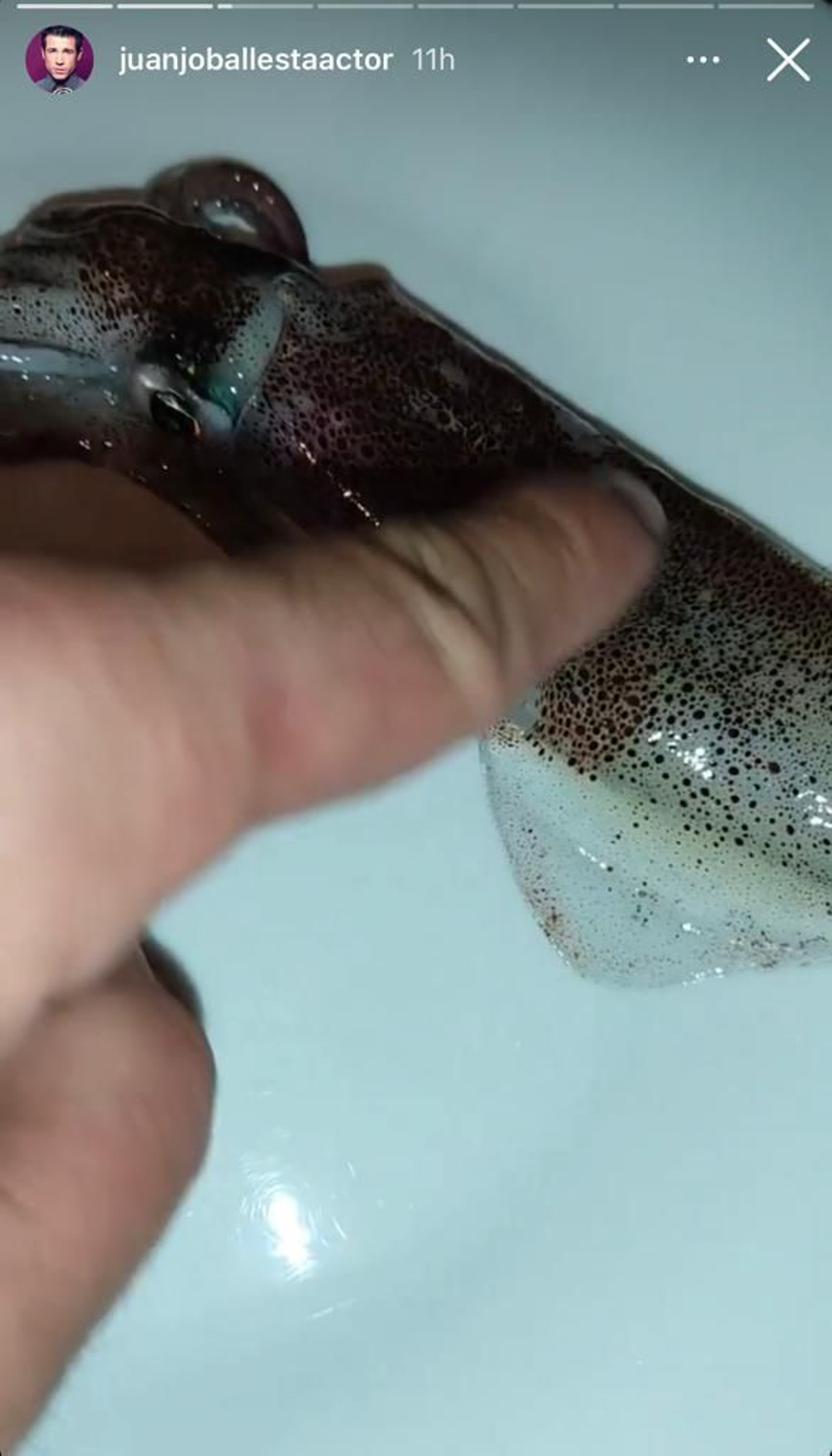 juanjo ballesta calamar