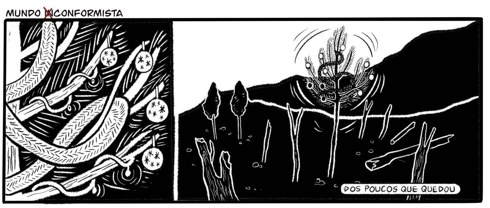 Mundo (in)conformista 8122025