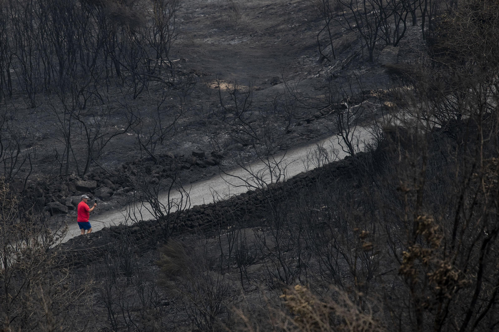 Incendio en el concello de Cualedro con varios focos en diferentes localidades como Carzoá, Cualedro ou San Martiño.