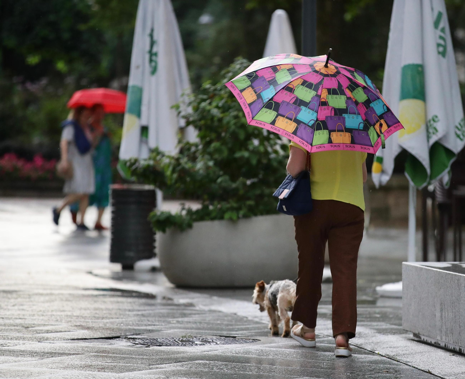 Galería | La ola de calor se despidió con intensas tormentas en Ourense, en fotos