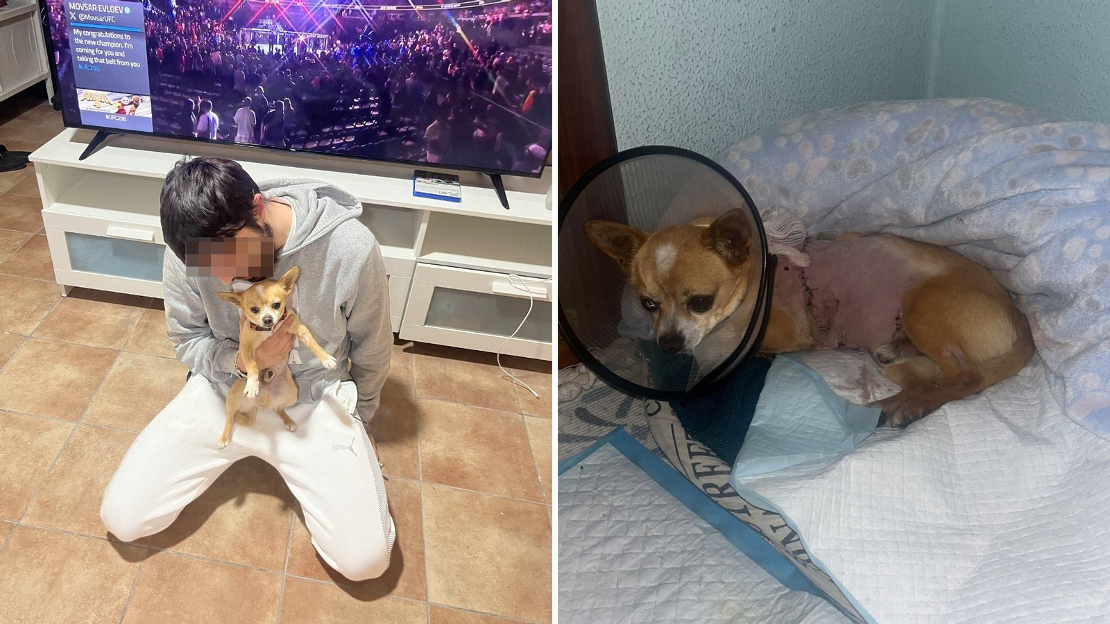 El viqués que rescató de la basura a Toco. // Policía Local