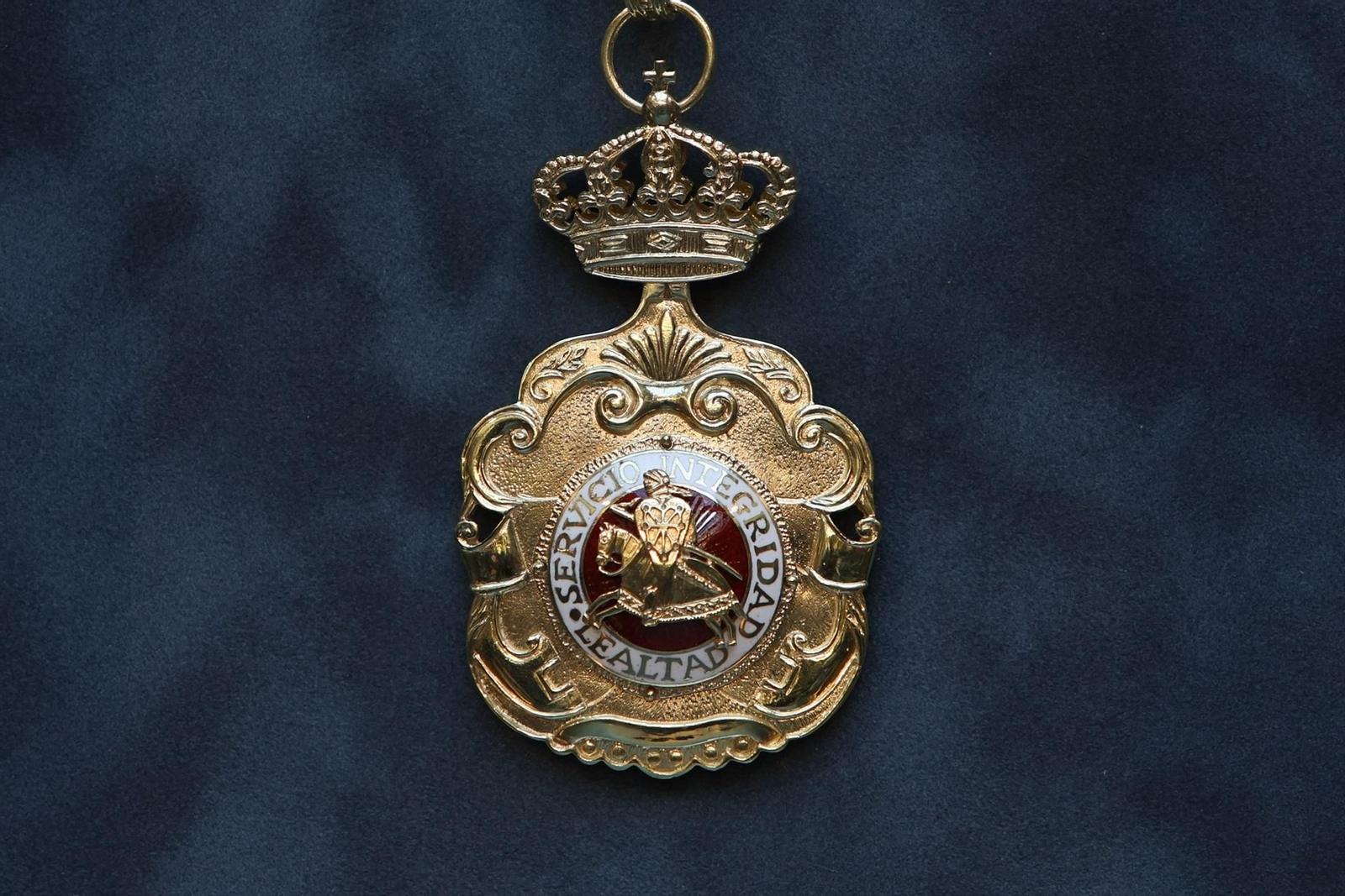En la imagen la Medalla de Navarra
