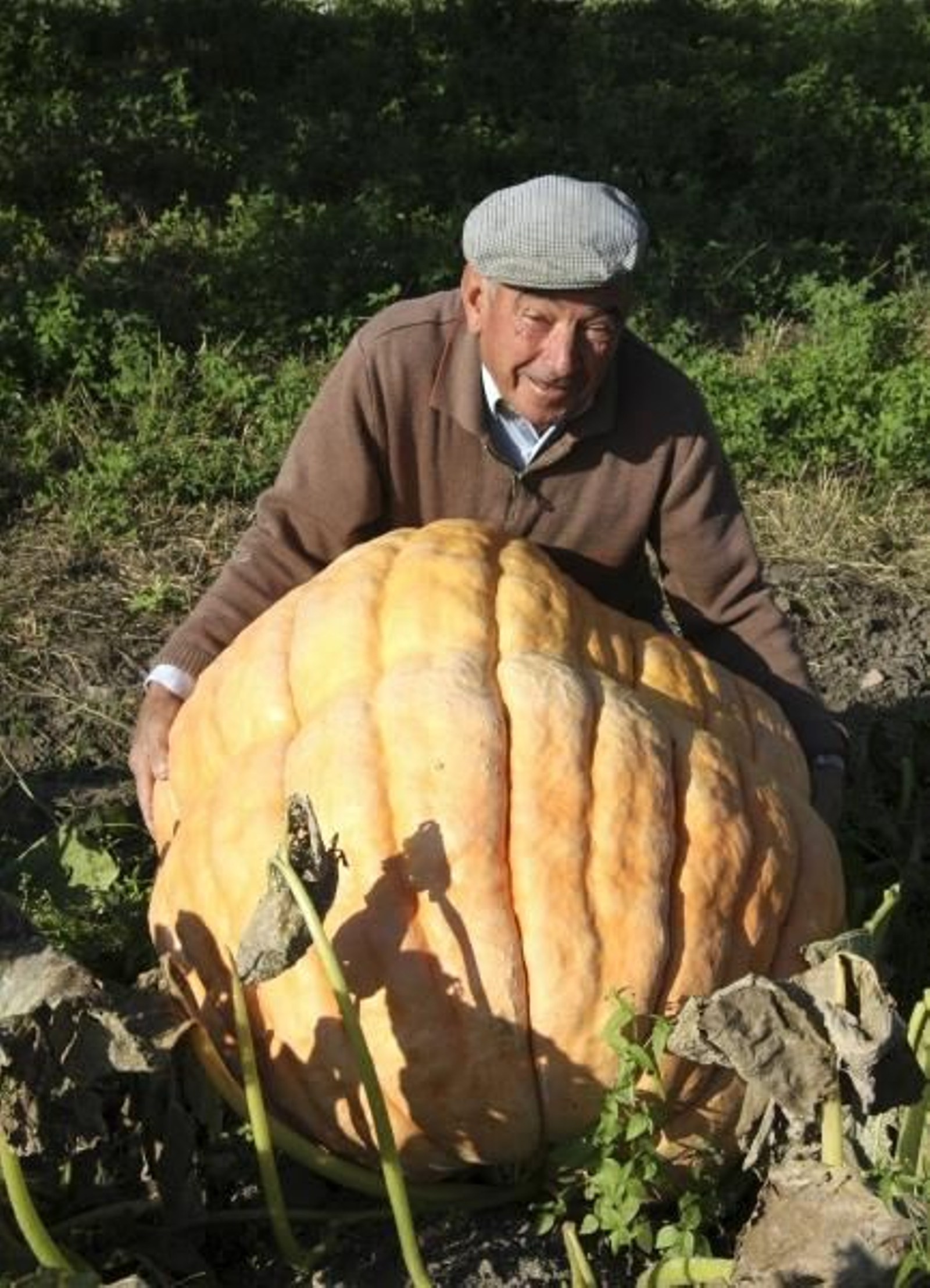 Felipe Encinas muestra, orgulloso, la calabaza gigante. (Foto: Carlos García)