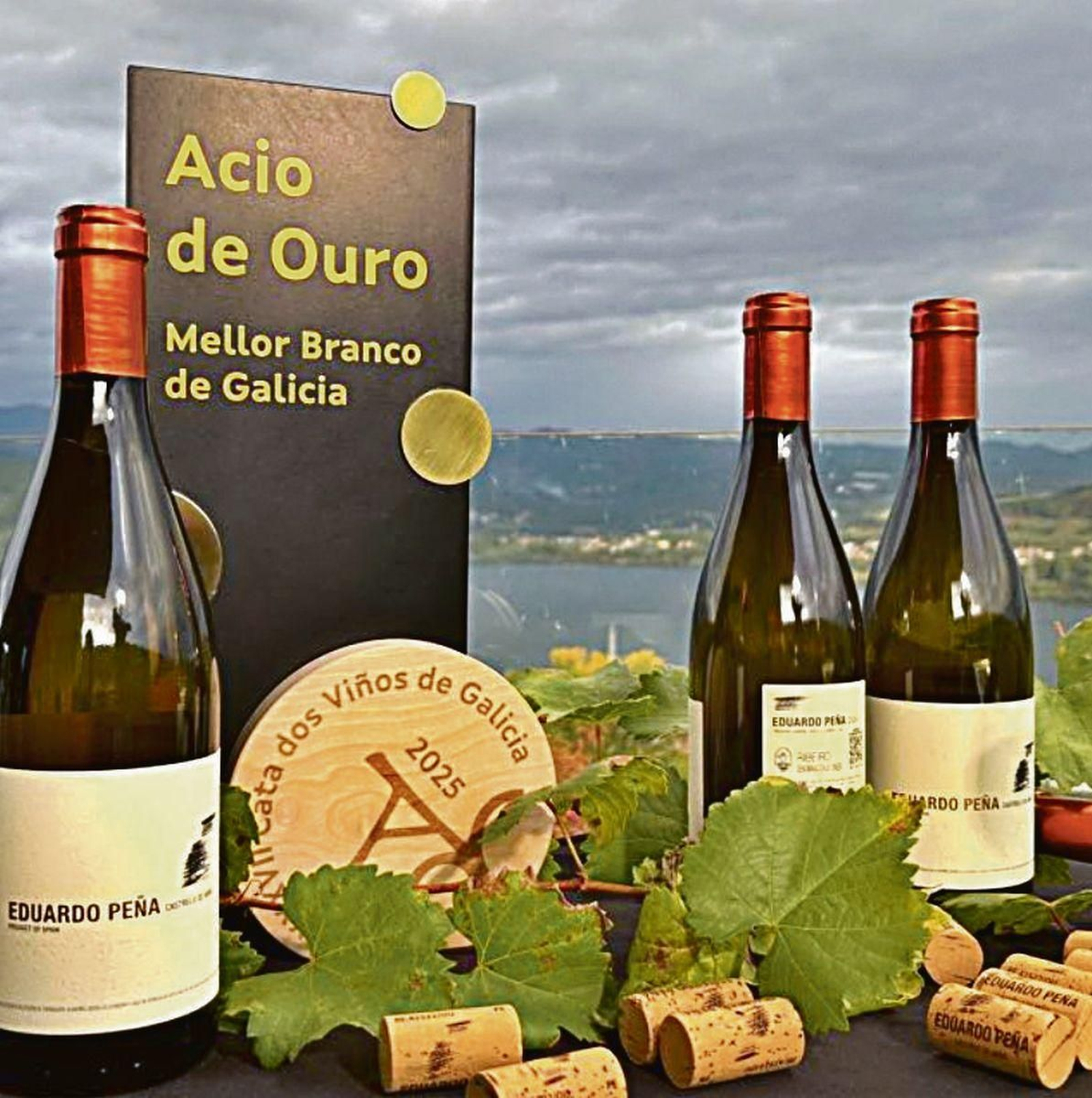 Acio de Ouro ao mellor viño branco nas Catas de Galicia 2025