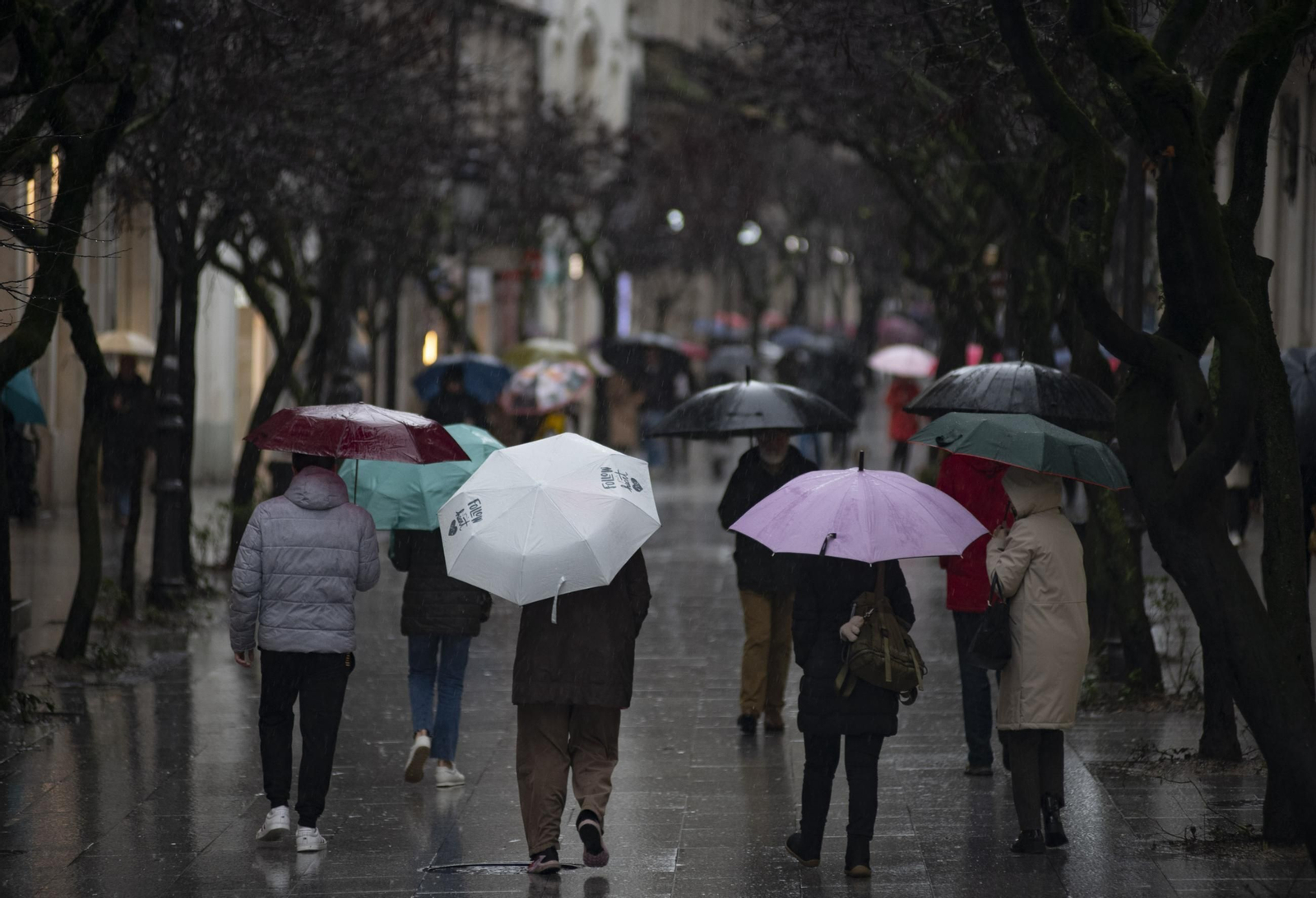 Los paraguas, protagonistas en la calle del Paseo.