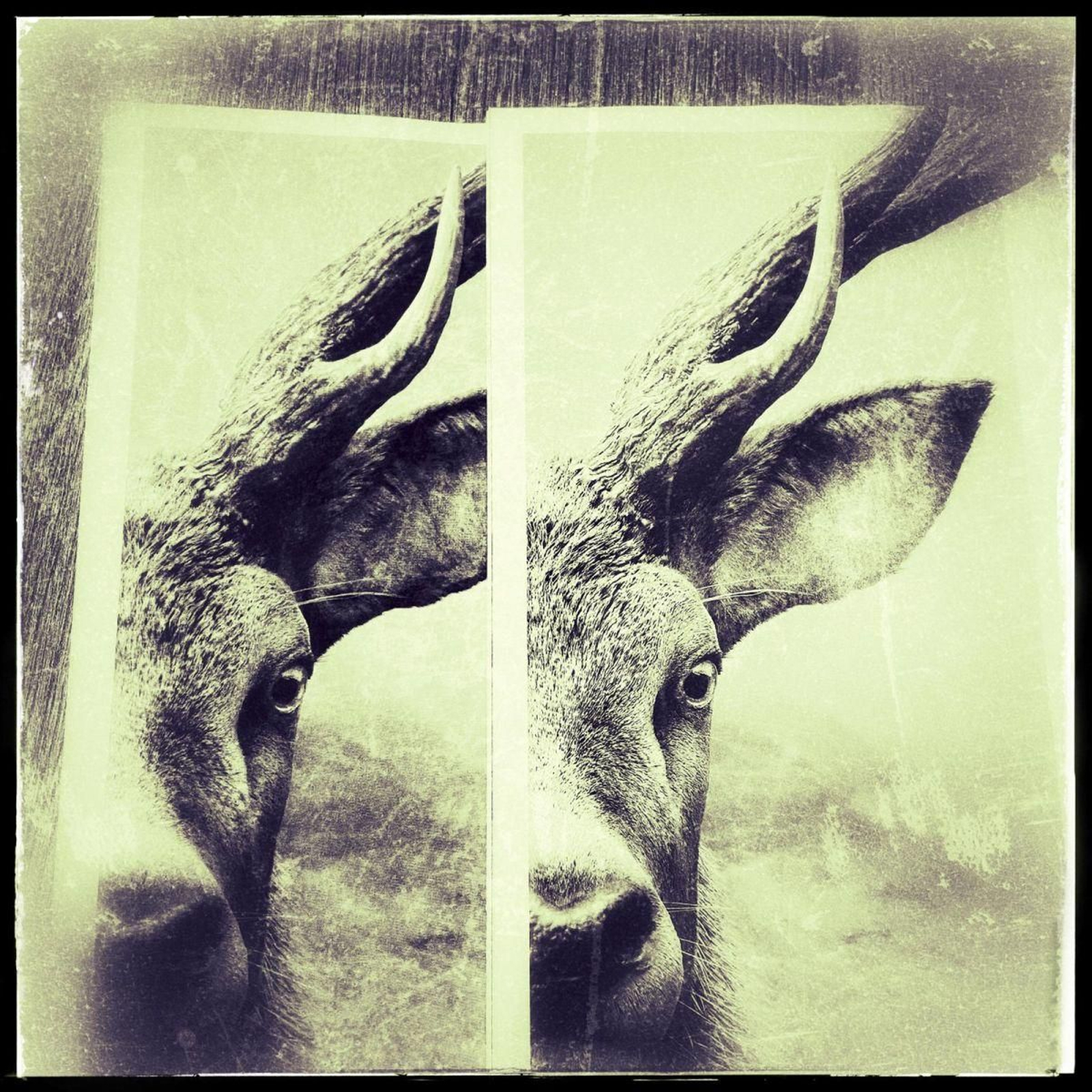 Escolas de pastores y naciones unidas