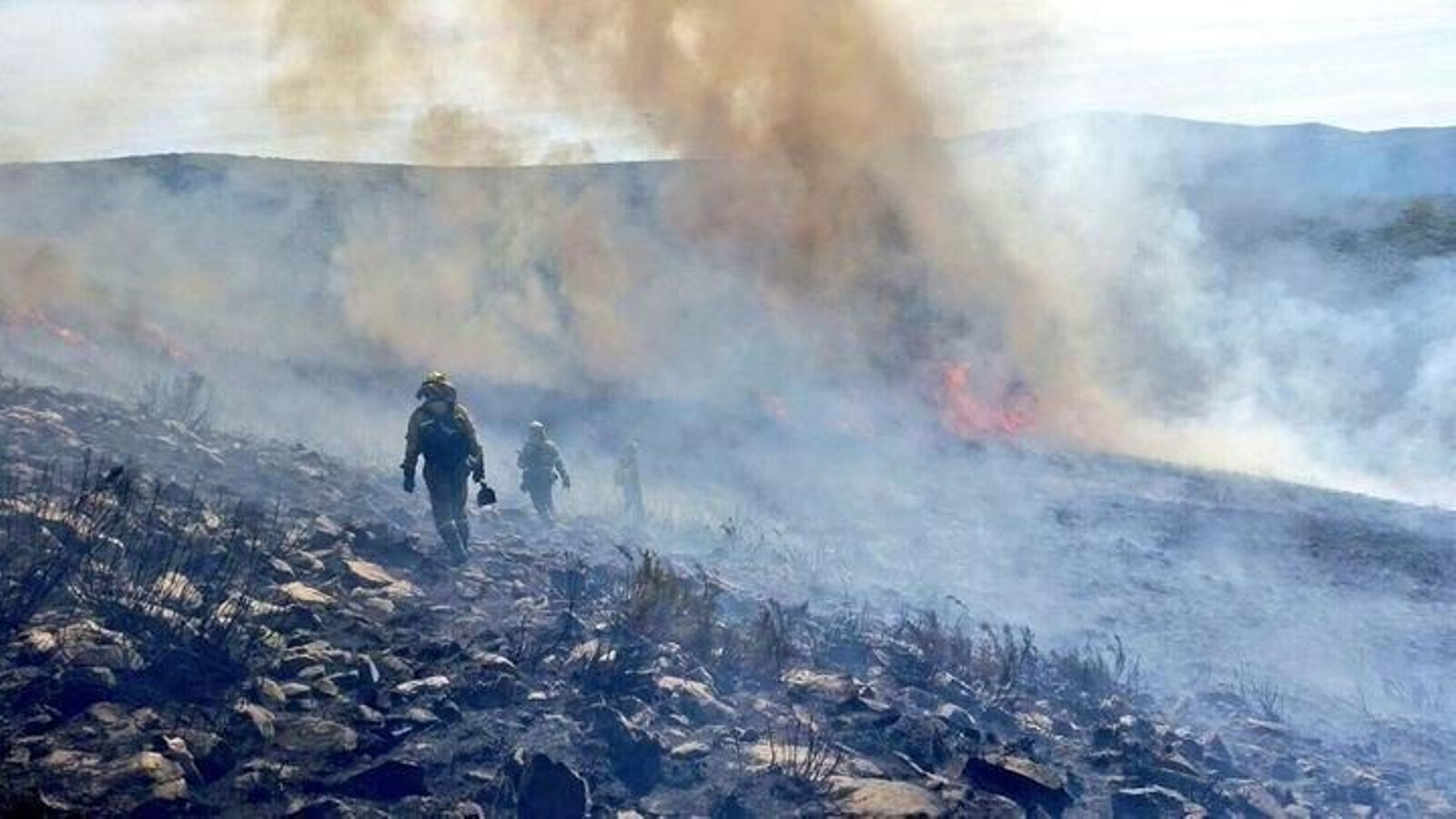 Labores de extinción del fuego.