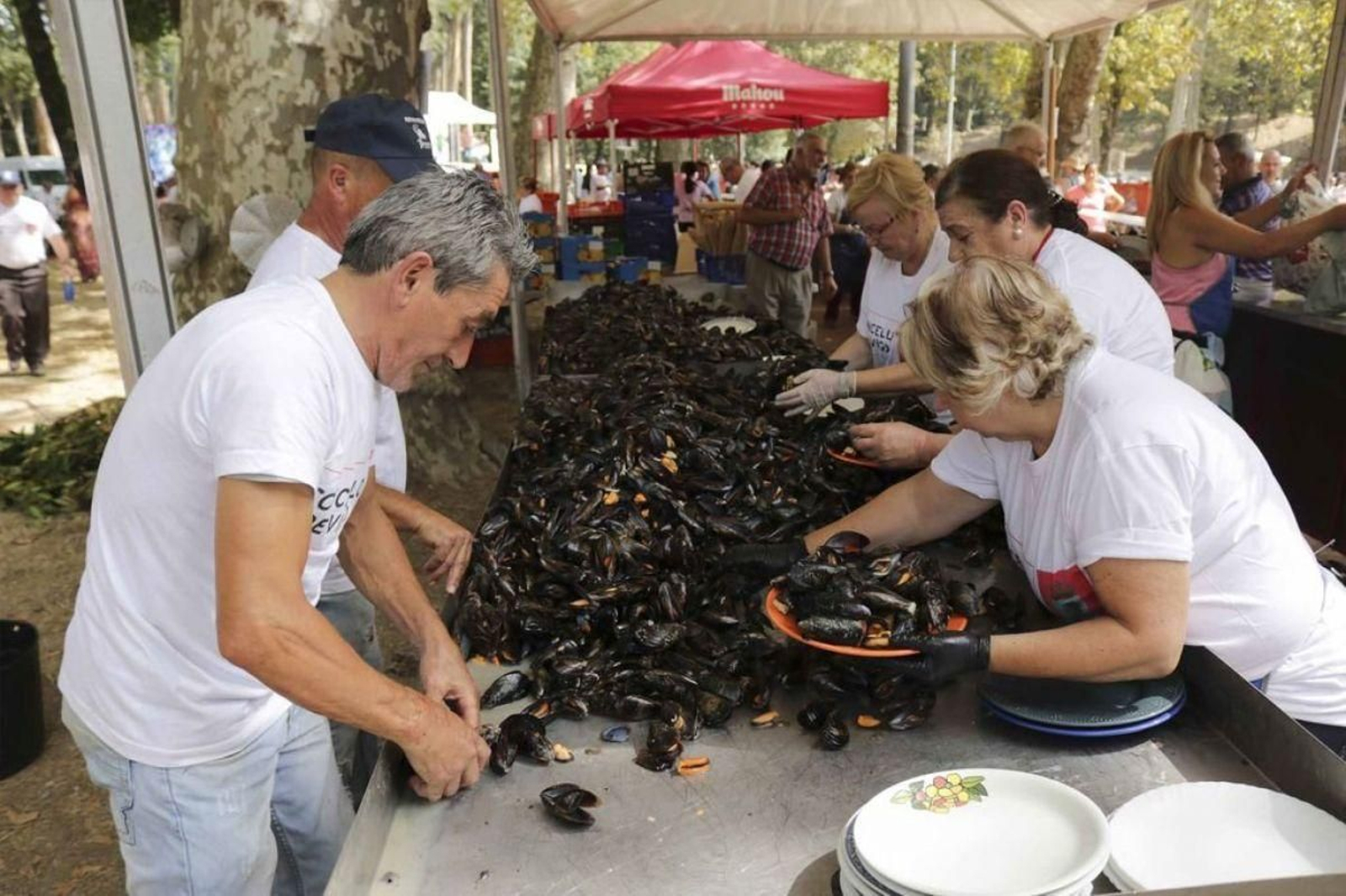 Voluntarios limpiando el mejillón para su posterior venta en años anteriores.