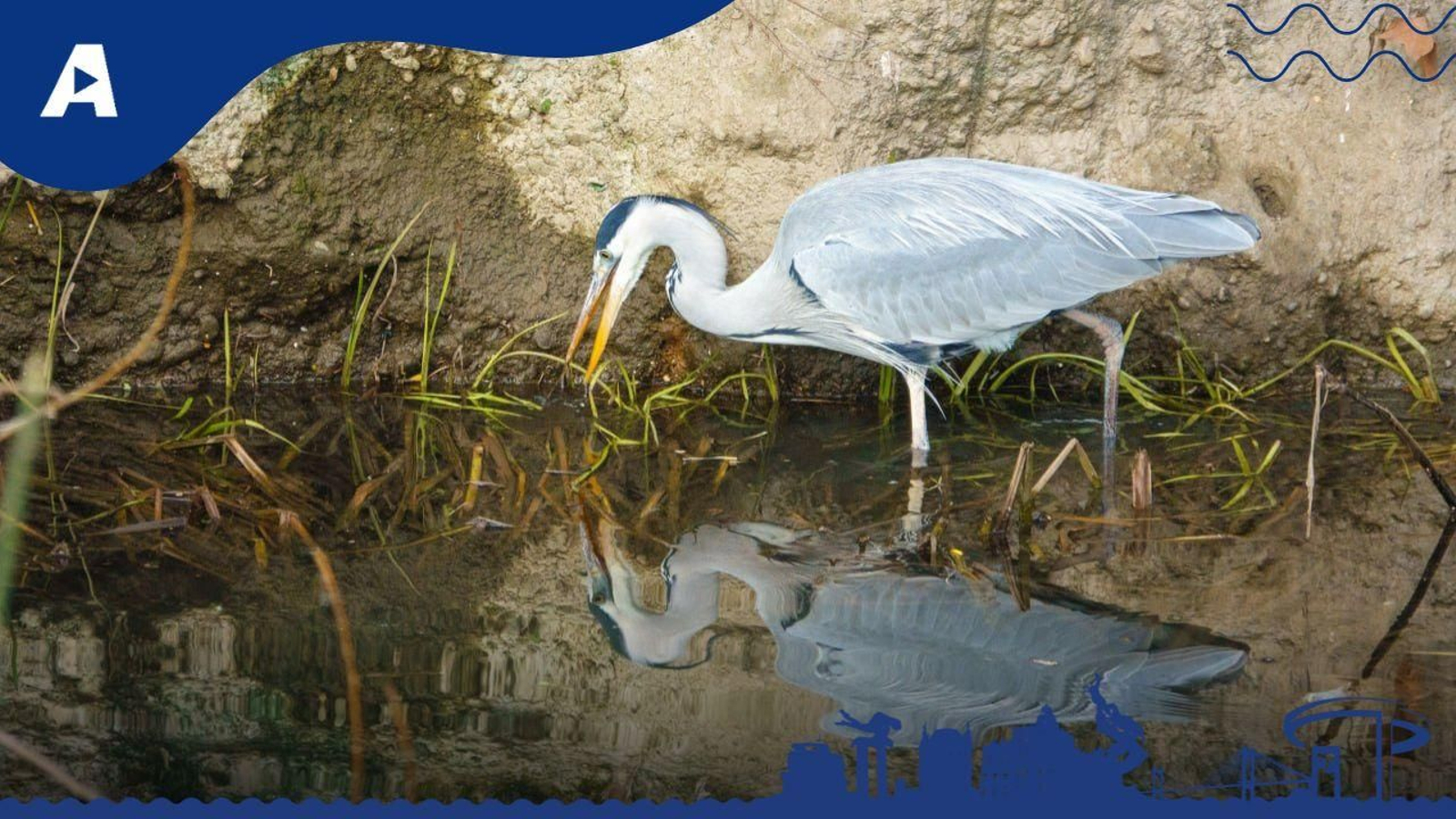 El tiempo en Vigo: viernes 9 de enero