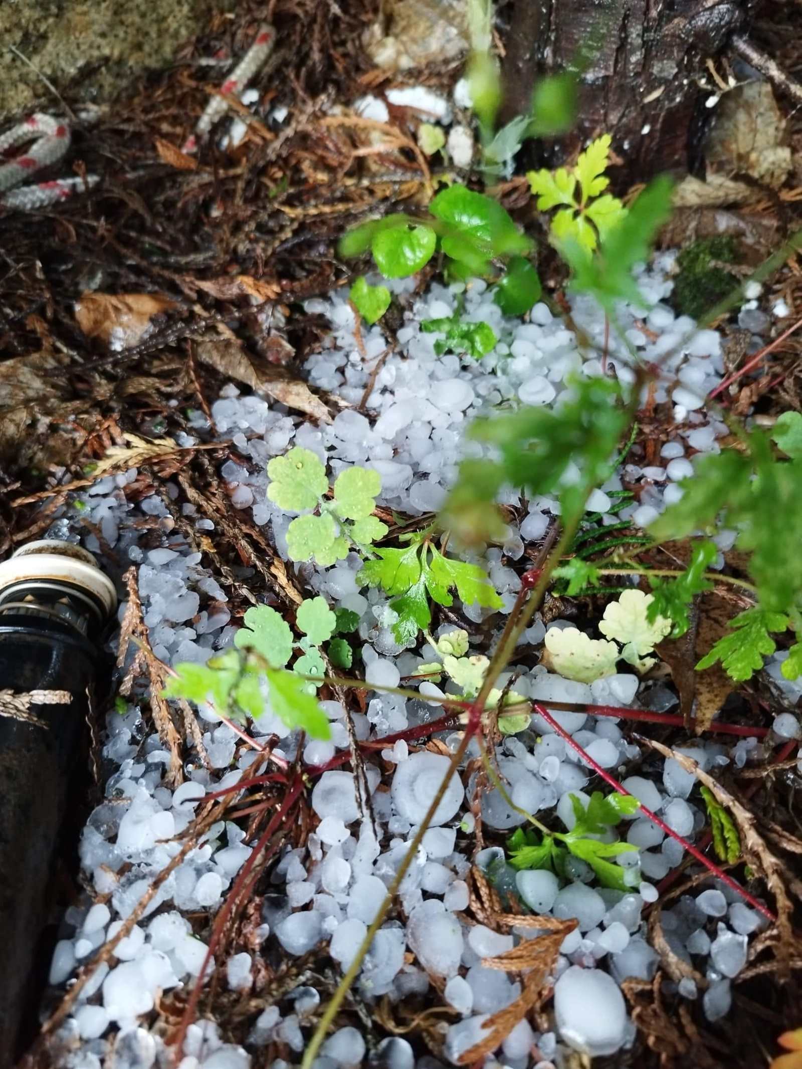 GRANIZO EN MOURAZOS 3junio 2023 (2)
