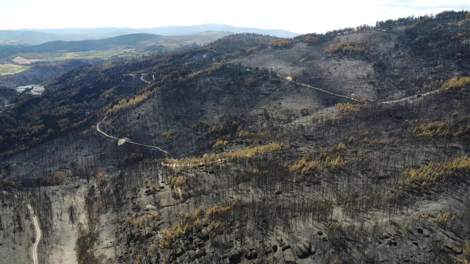 Imágenes aéreas de la devastación en el incendio de Seadur del pasado verano.
