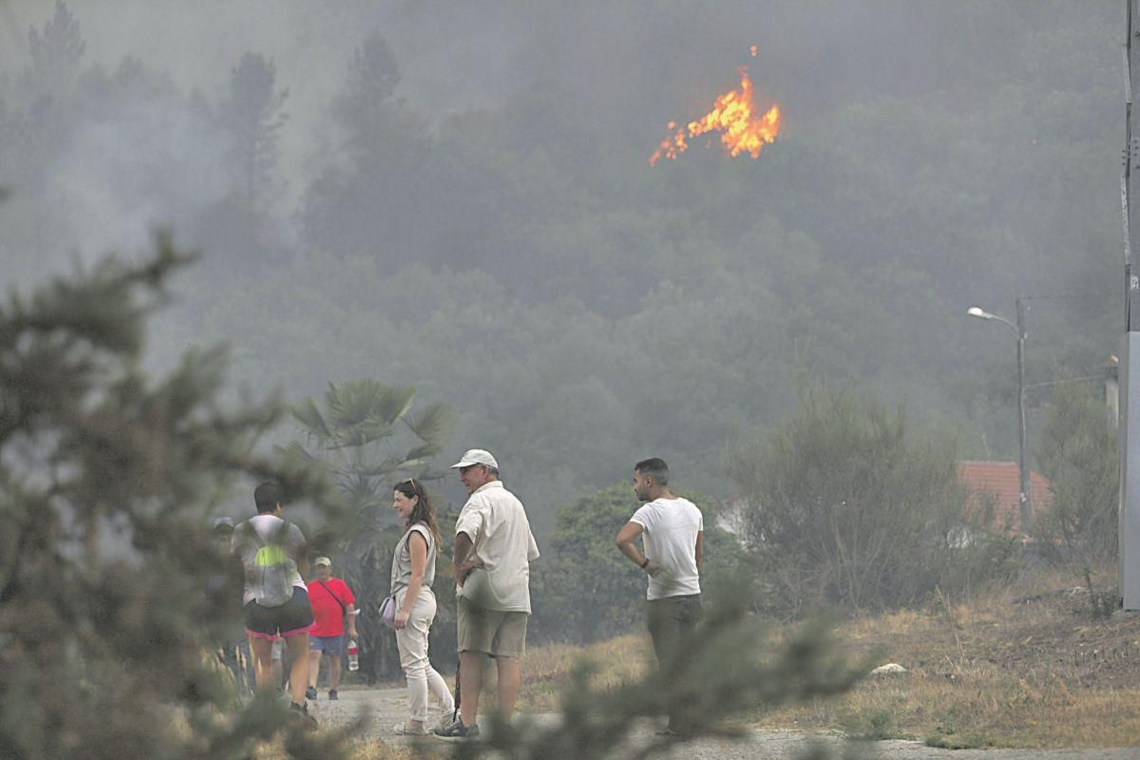 Uno de los grandes incendios fue en O Irixo (Ourense).