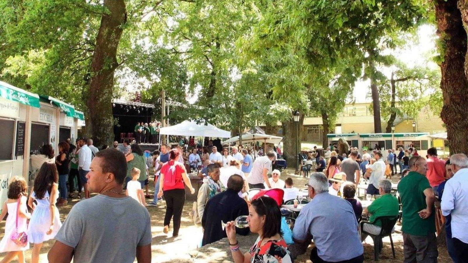 Degustación de ‘Lamprea seca’ en Arbo,   a la sombra de robles de gran porte, en la Carballeira de Turbela.