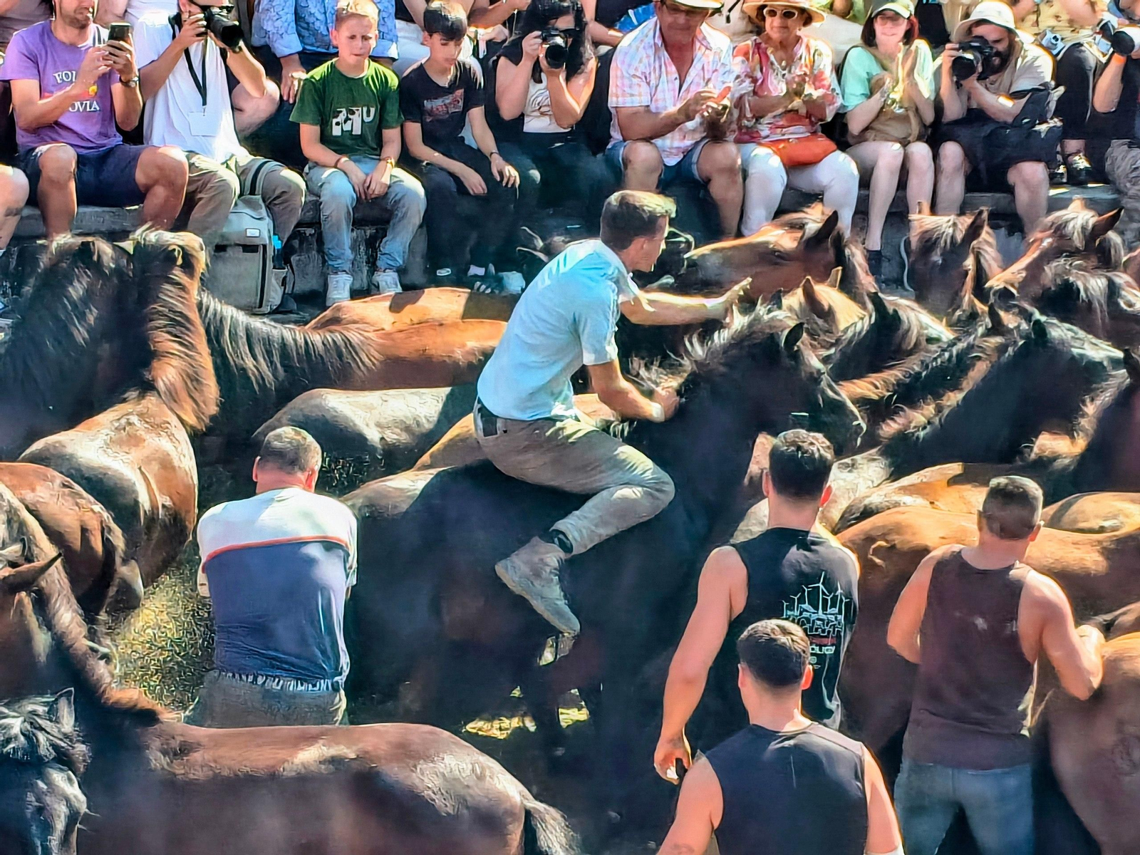 Galería | La Rapa das Bestas desafía al calor en Sabucedo