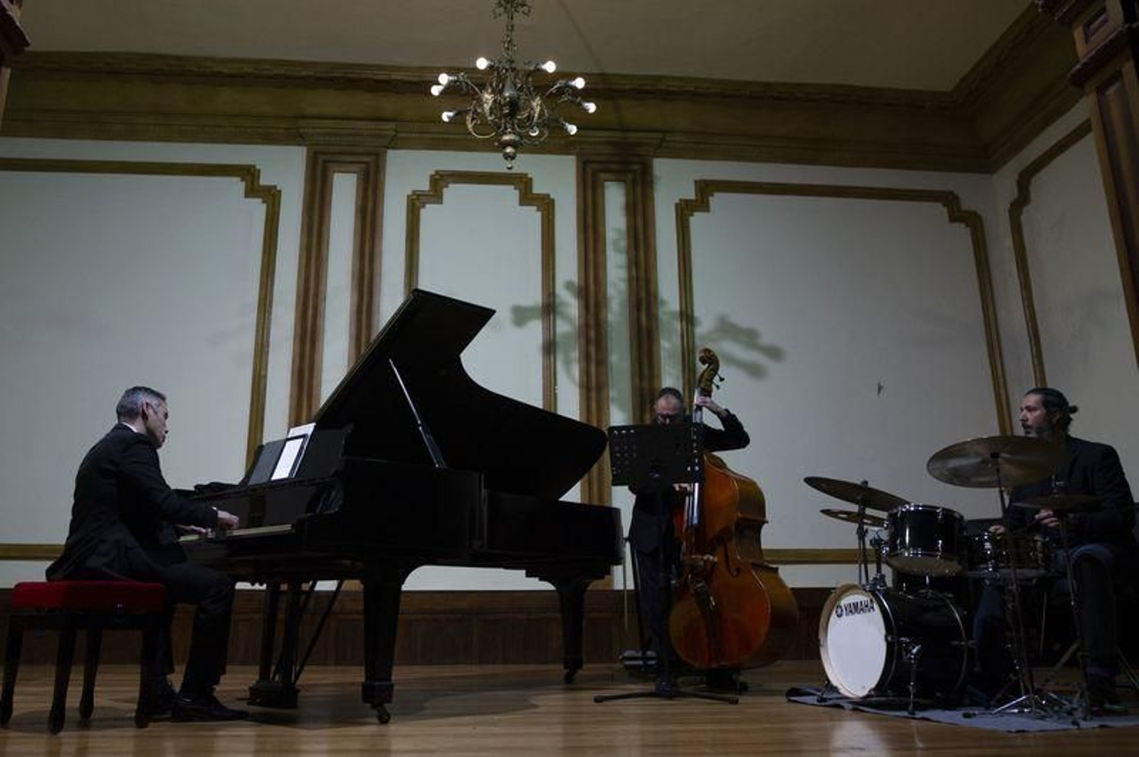 Ourense 11/11/20
Concierto de jazz en el liceo

Fotos Martiño Pinal